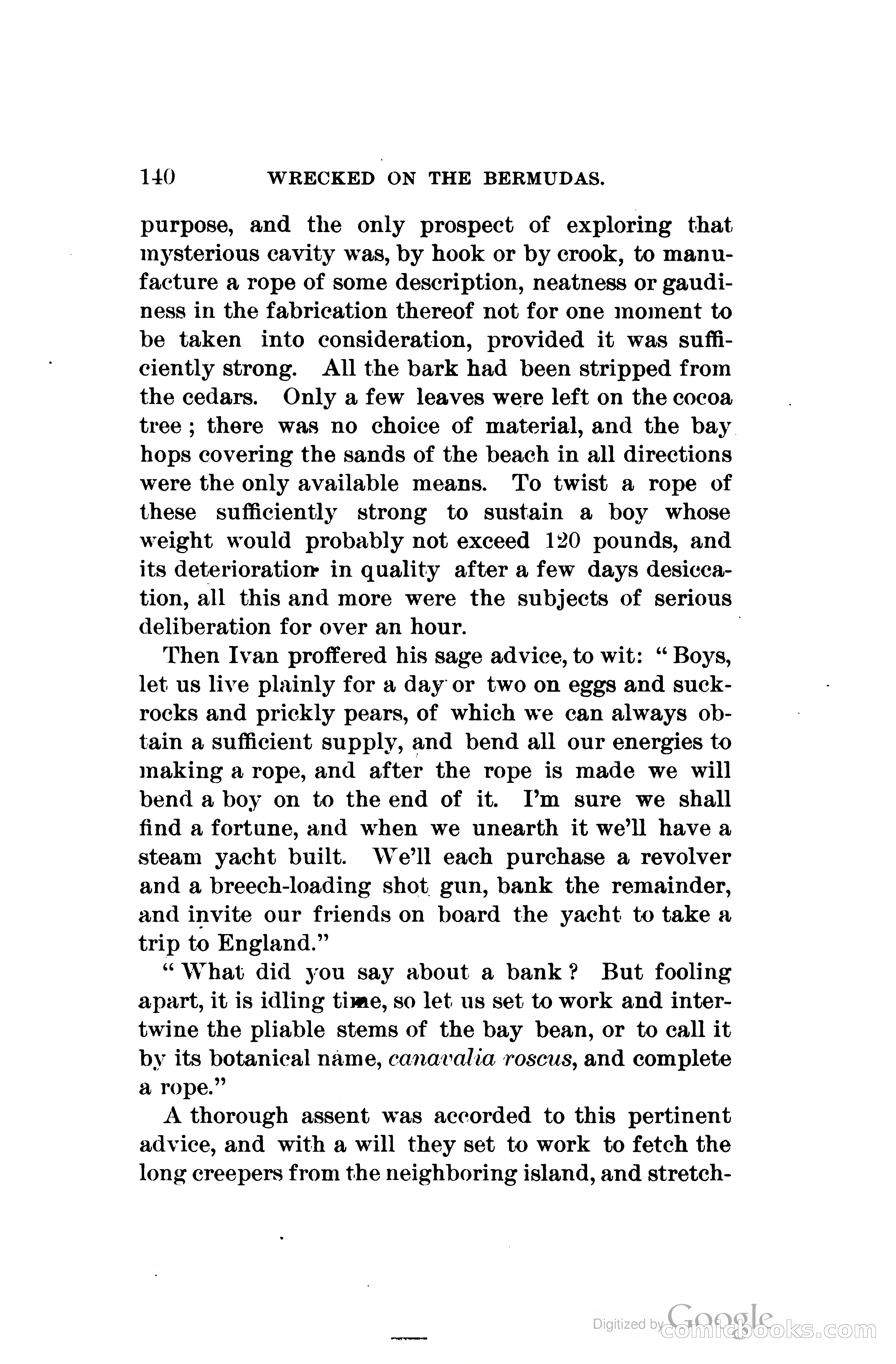 Wrecked On The Bermudas: The Thrilling Adventures Of Three Boys — page 177 of 344