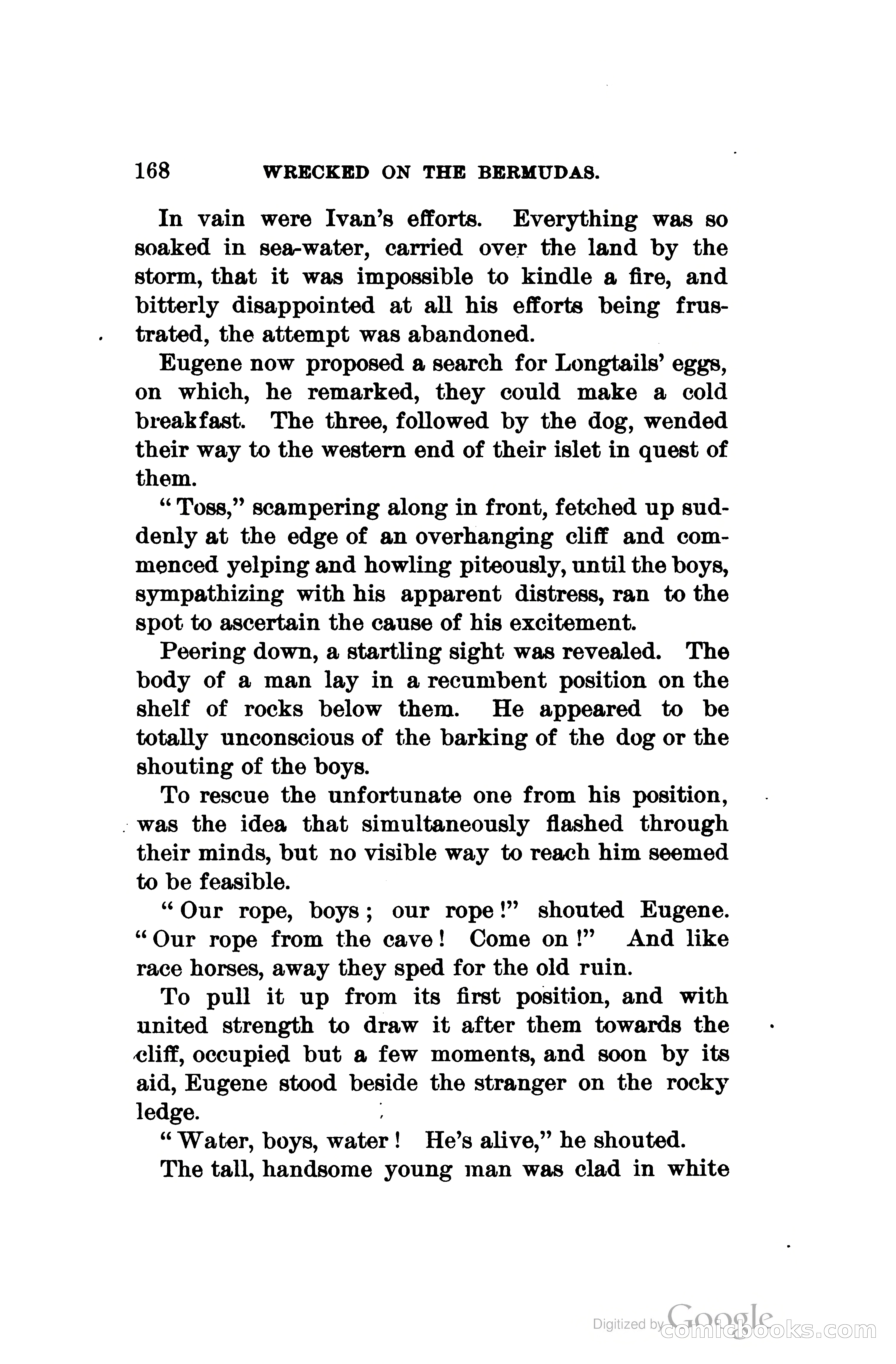 Wrecked On The Bermudas: The Thrilling Adventures Of Three Boys — page 207 of 344