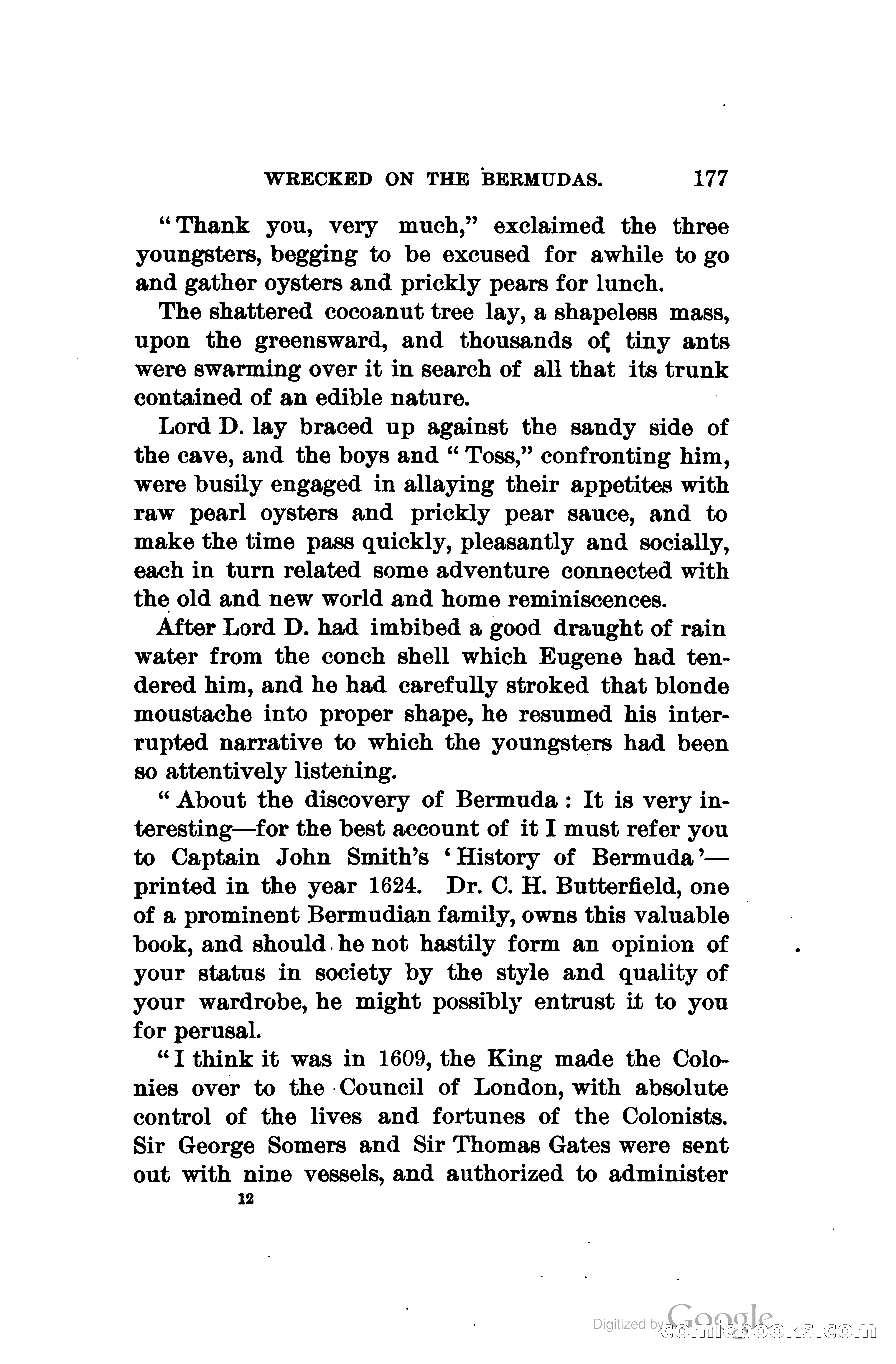 Wrecked On The Bermudas: The Thrilling Adventures Of Three Boys — page 216 of 344