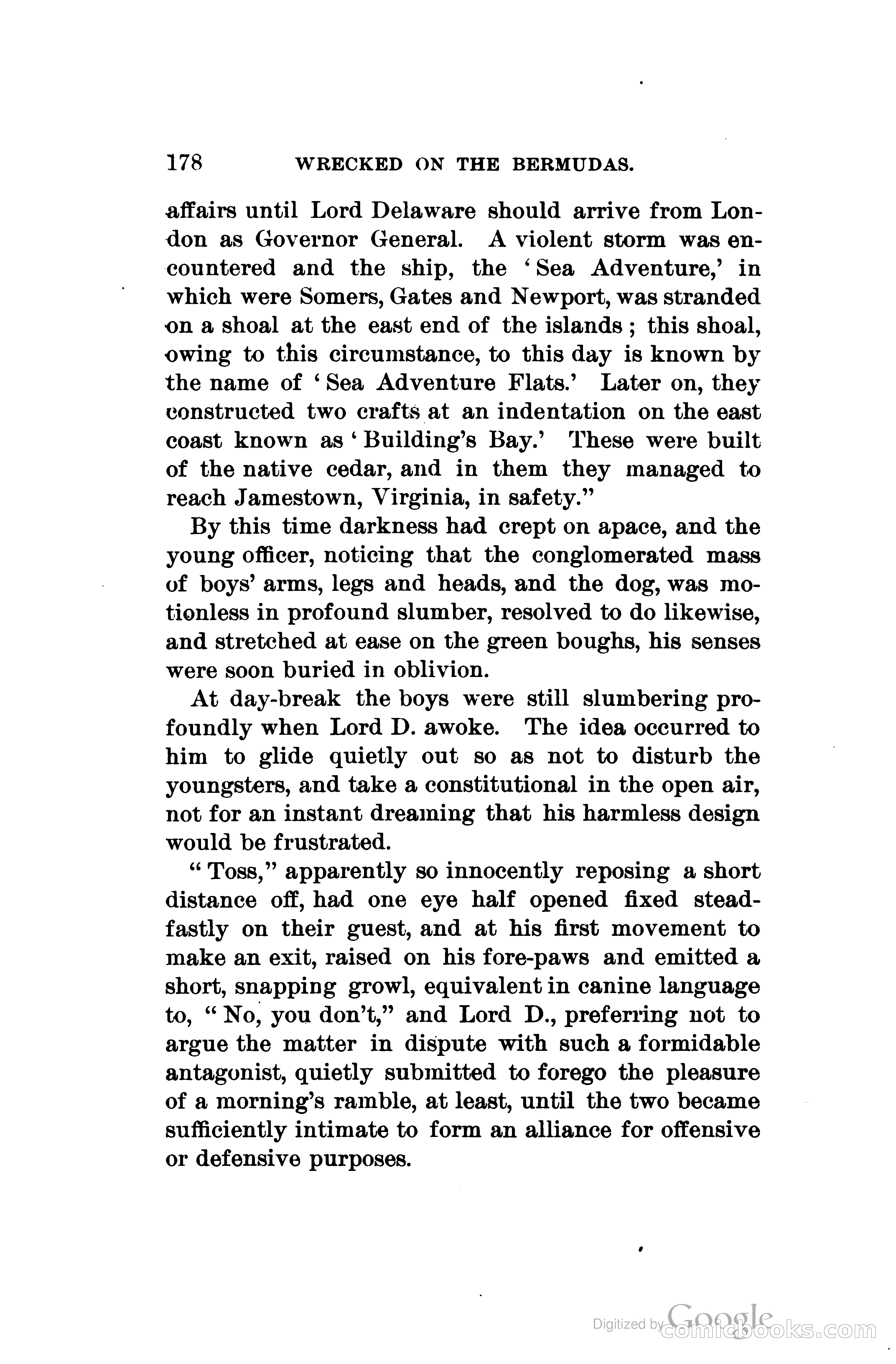 Wrecked On The Bermudas: The Thrilling Adventures Of Three Boys — page 217 of 344