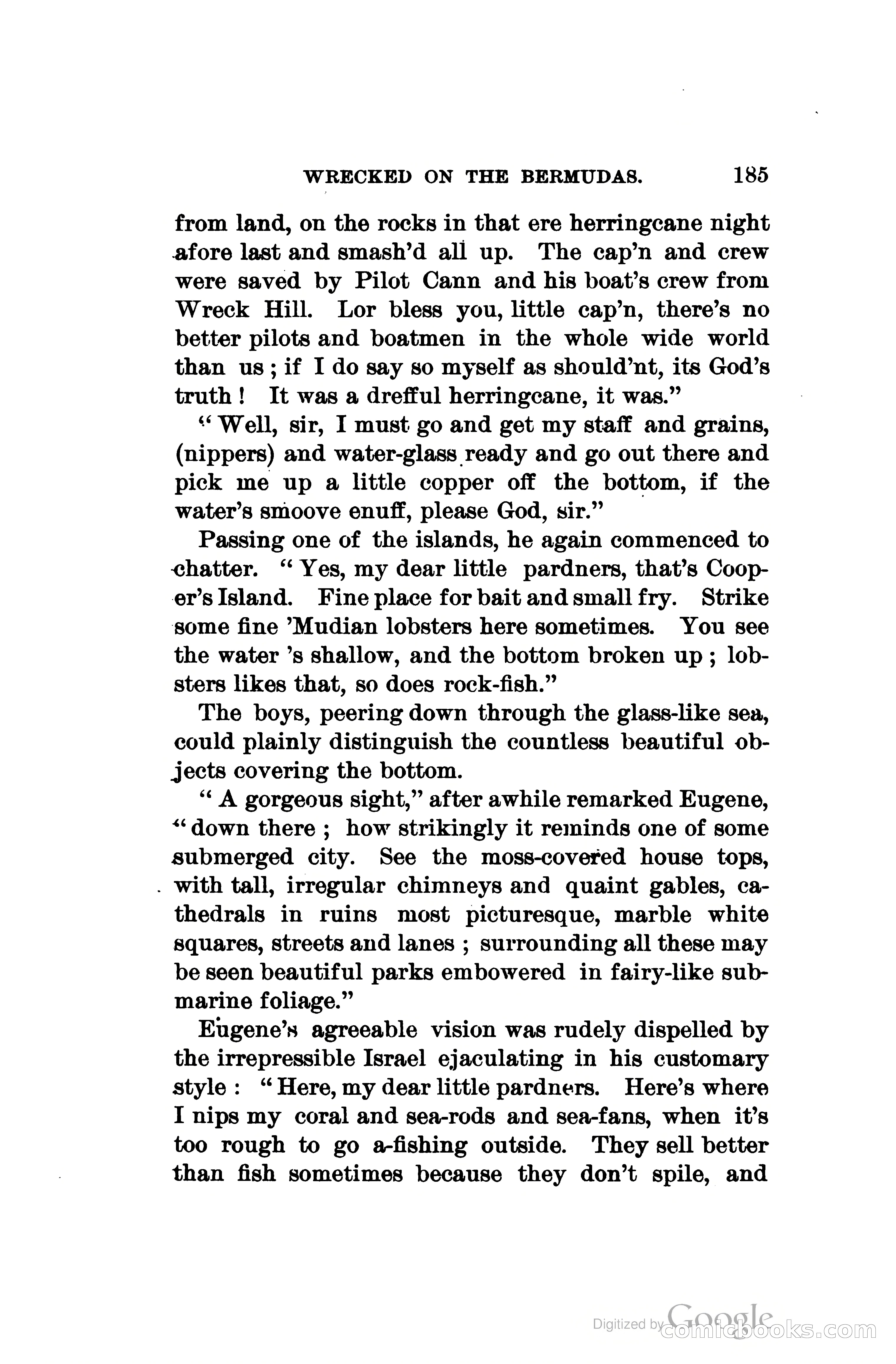 Wrecked On The Bermudas: The Thrilling Adventures Of Three Boys — page 224 of 344