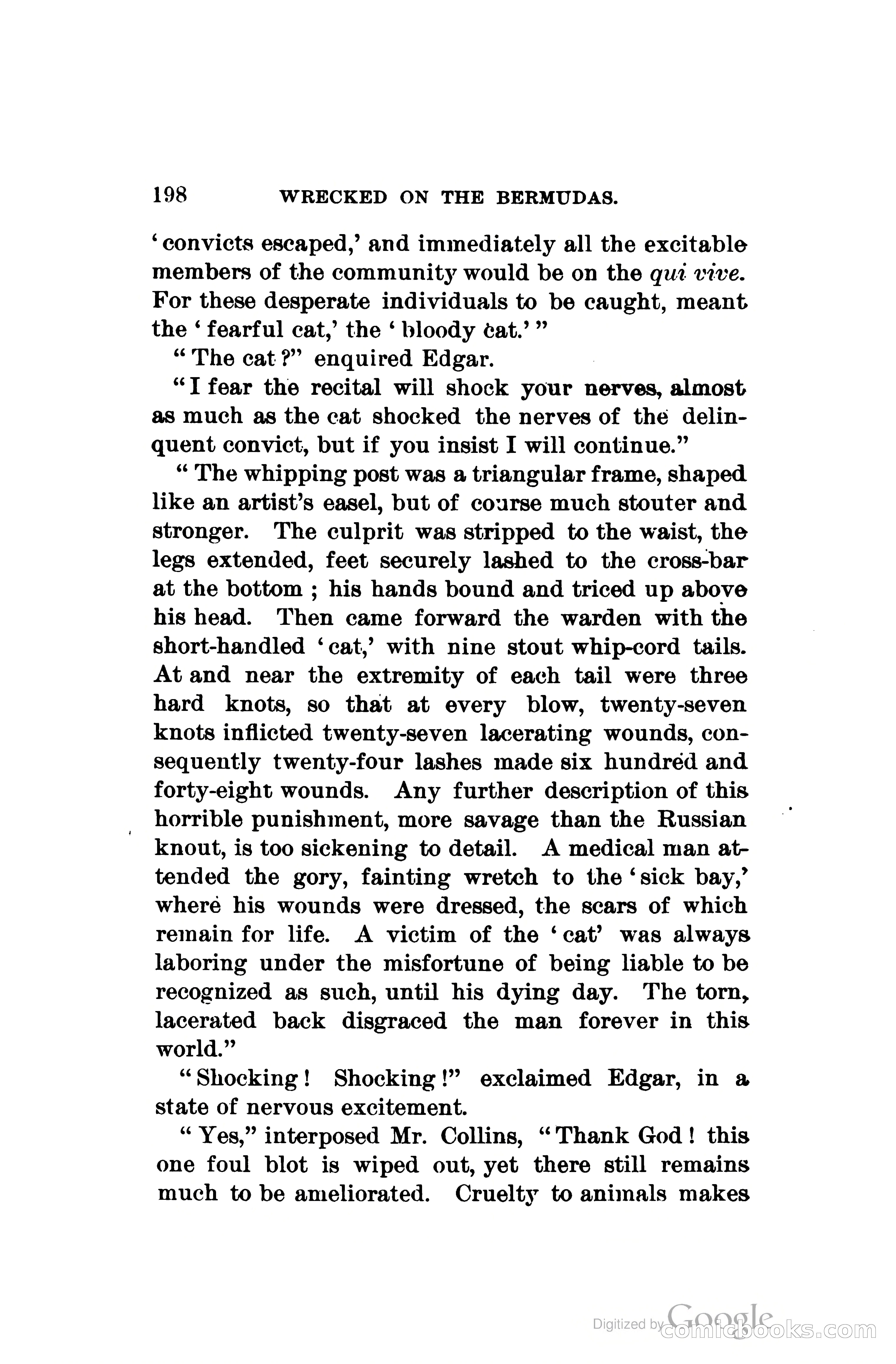 Wrecked On The Bermudas: The Thrilling Adventures Of Three Boys — page 239 of 344