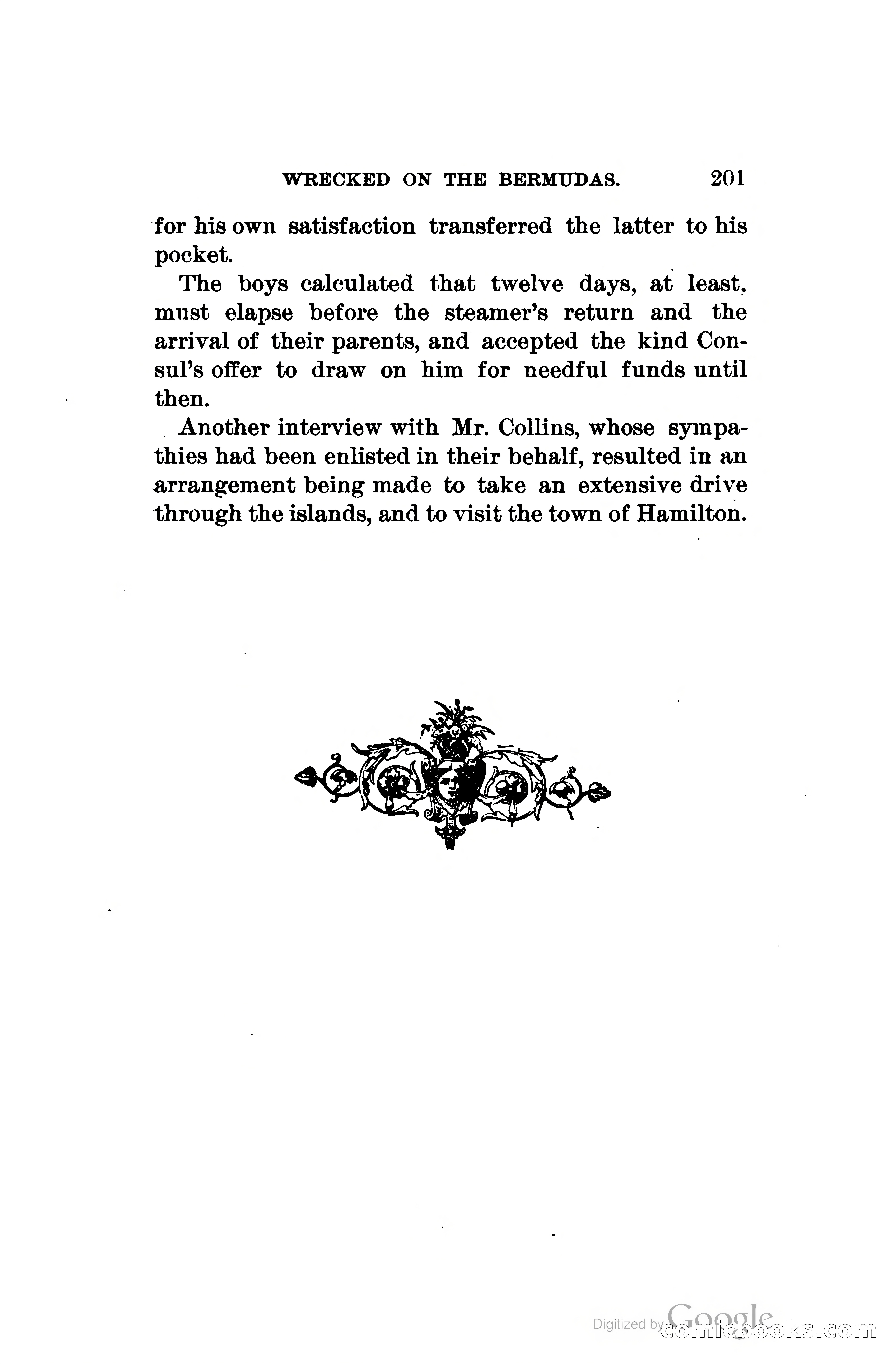 Wrecked On The Bermudas: The Thrilling Adventures Of Three Boys — page 242 of 344