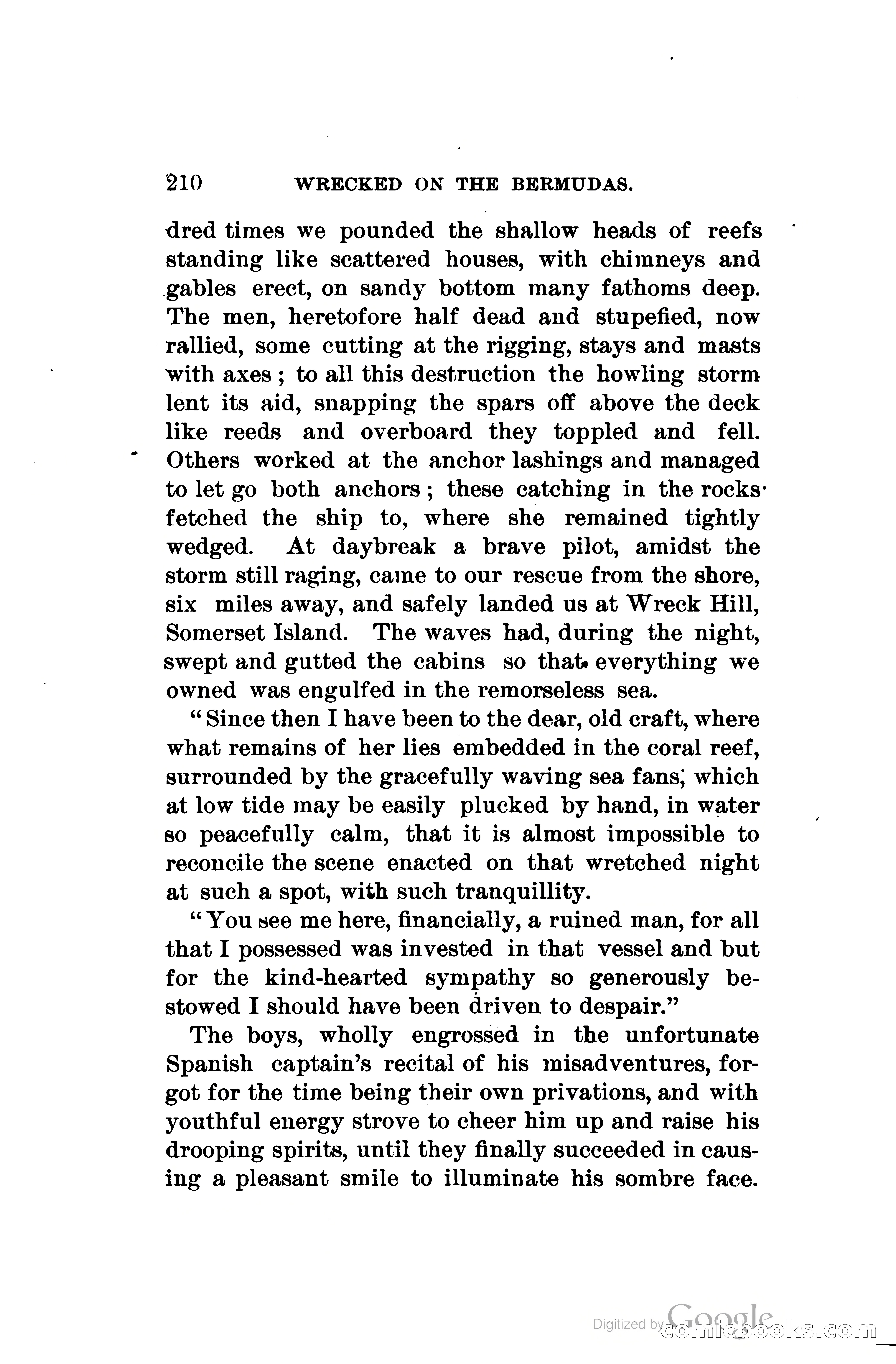 Wrecked On The Bermudas: The Thrilling Adventures Of Three Boys — page 251 of 344