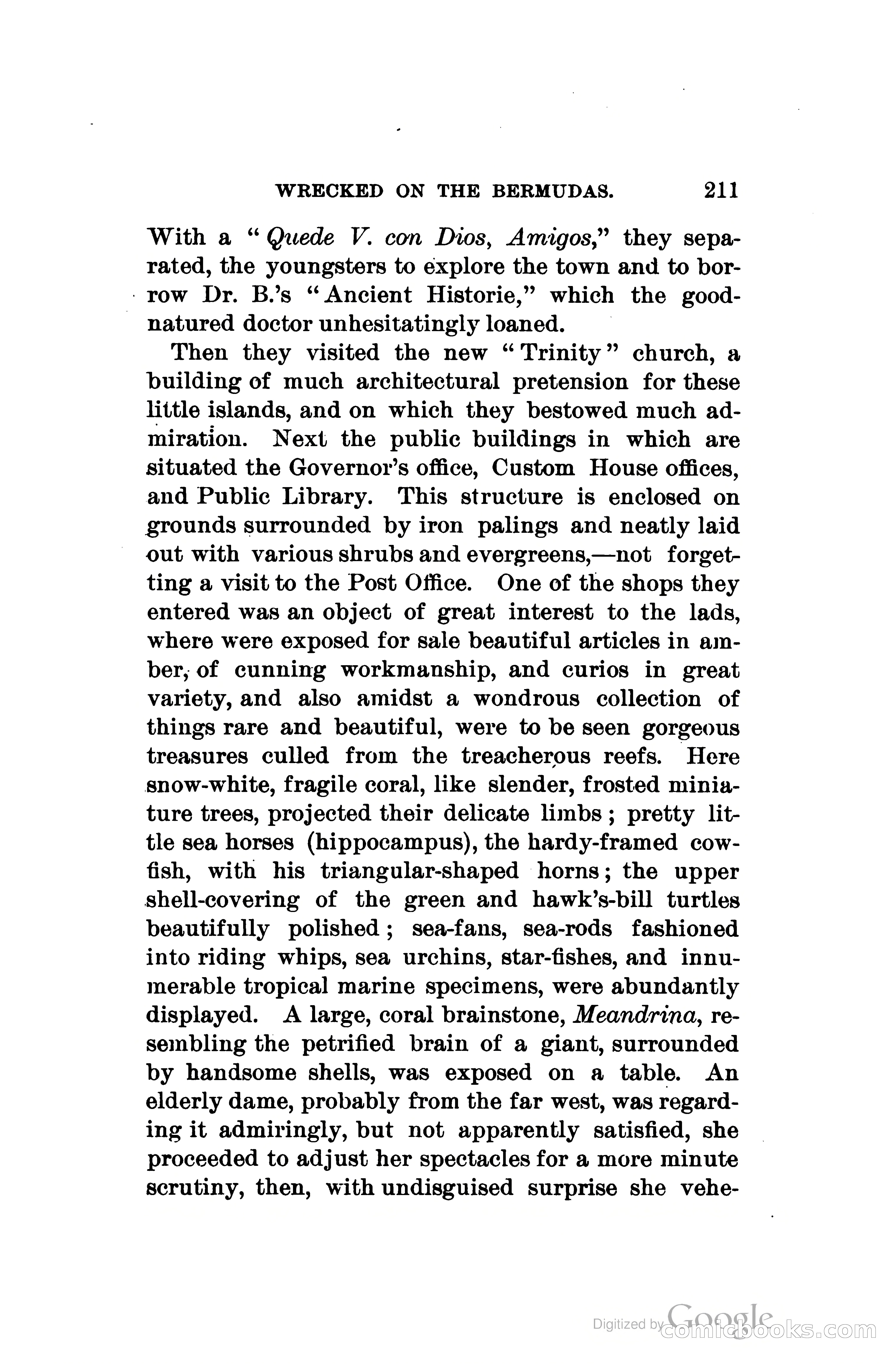 Wrecked On The Bermudas: The Thrilling Adventures Of Three Boys — page 254 of 344