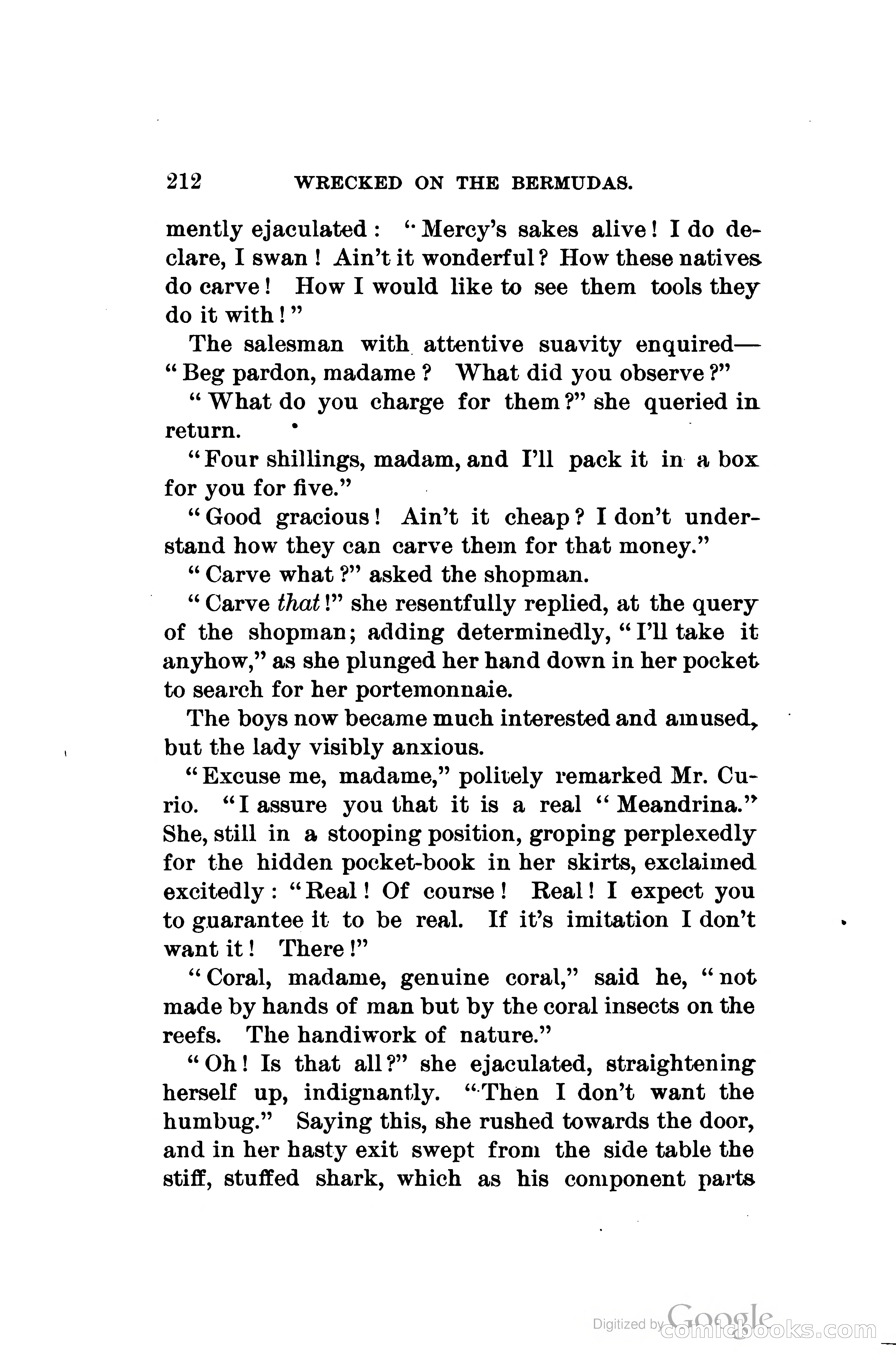 Wrecked On The Bermudas: The Thrilling Adventures Of Three Boys — page 255 of 344