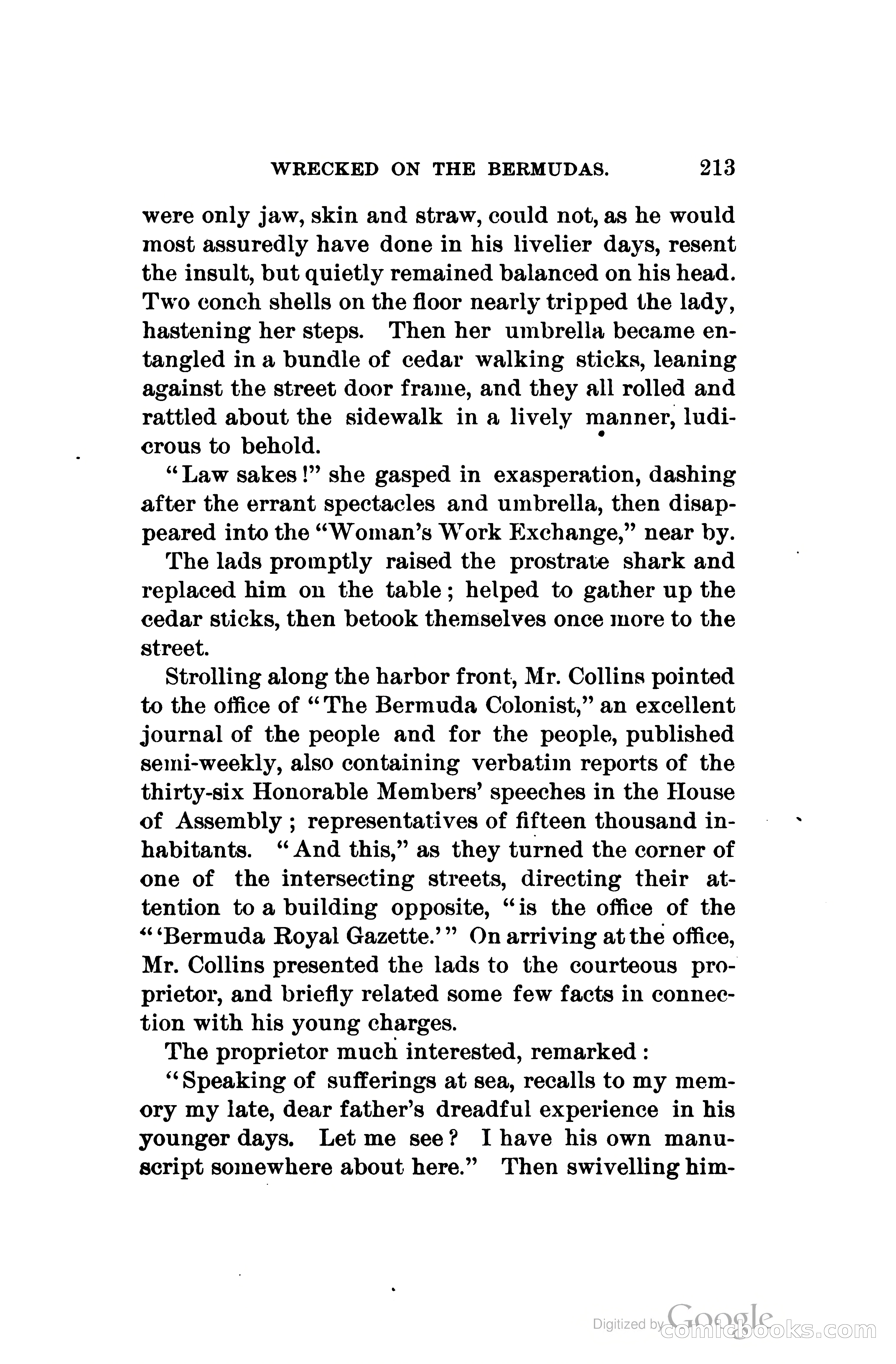 Wrecked On The Bermudas: The Thrilling Adventures Of Three Boys — page 256 of 344