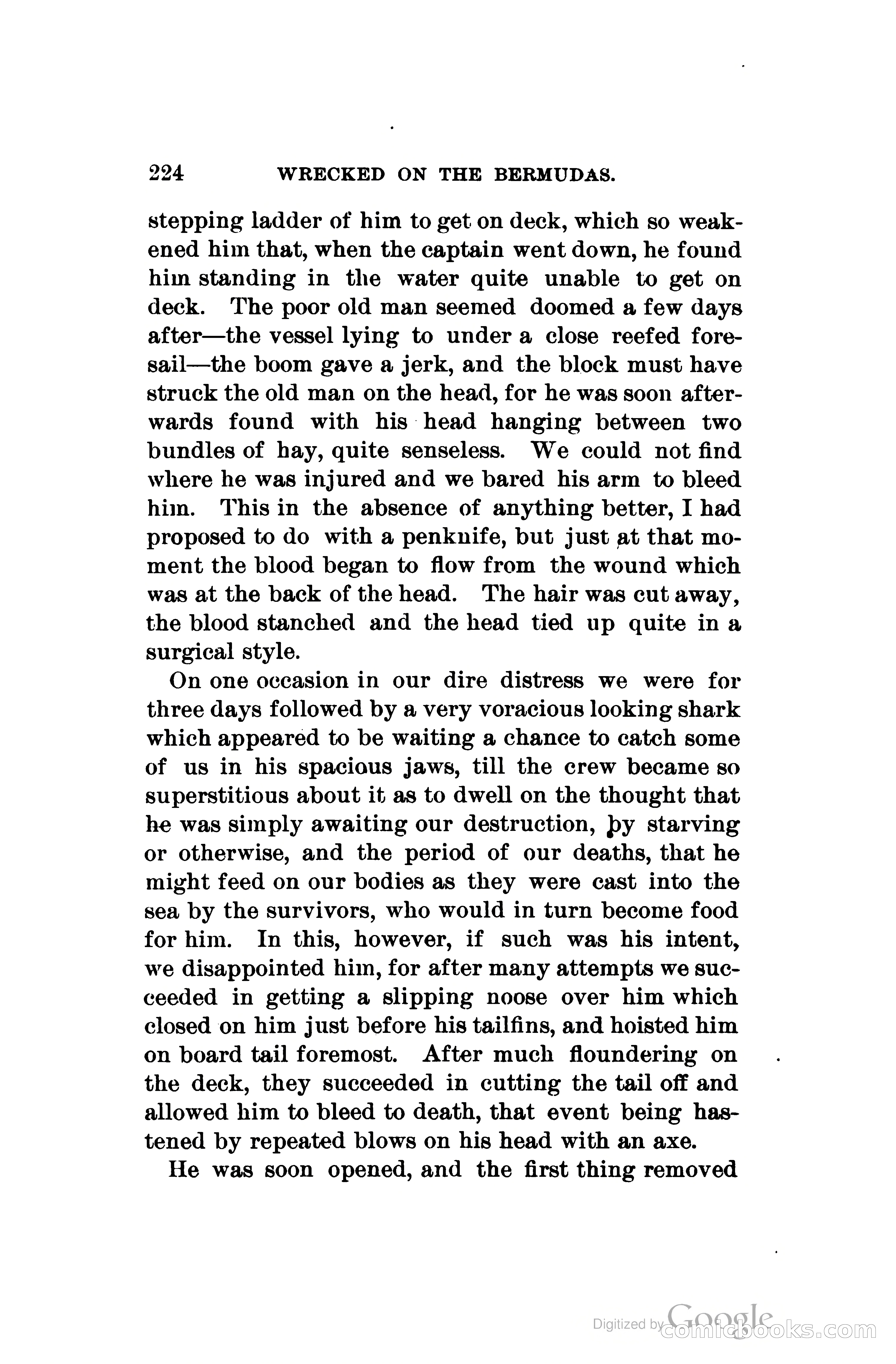 Wrecked On The Bermudas: The Thrilling Adventures Of Three Boys — page 267 of 344