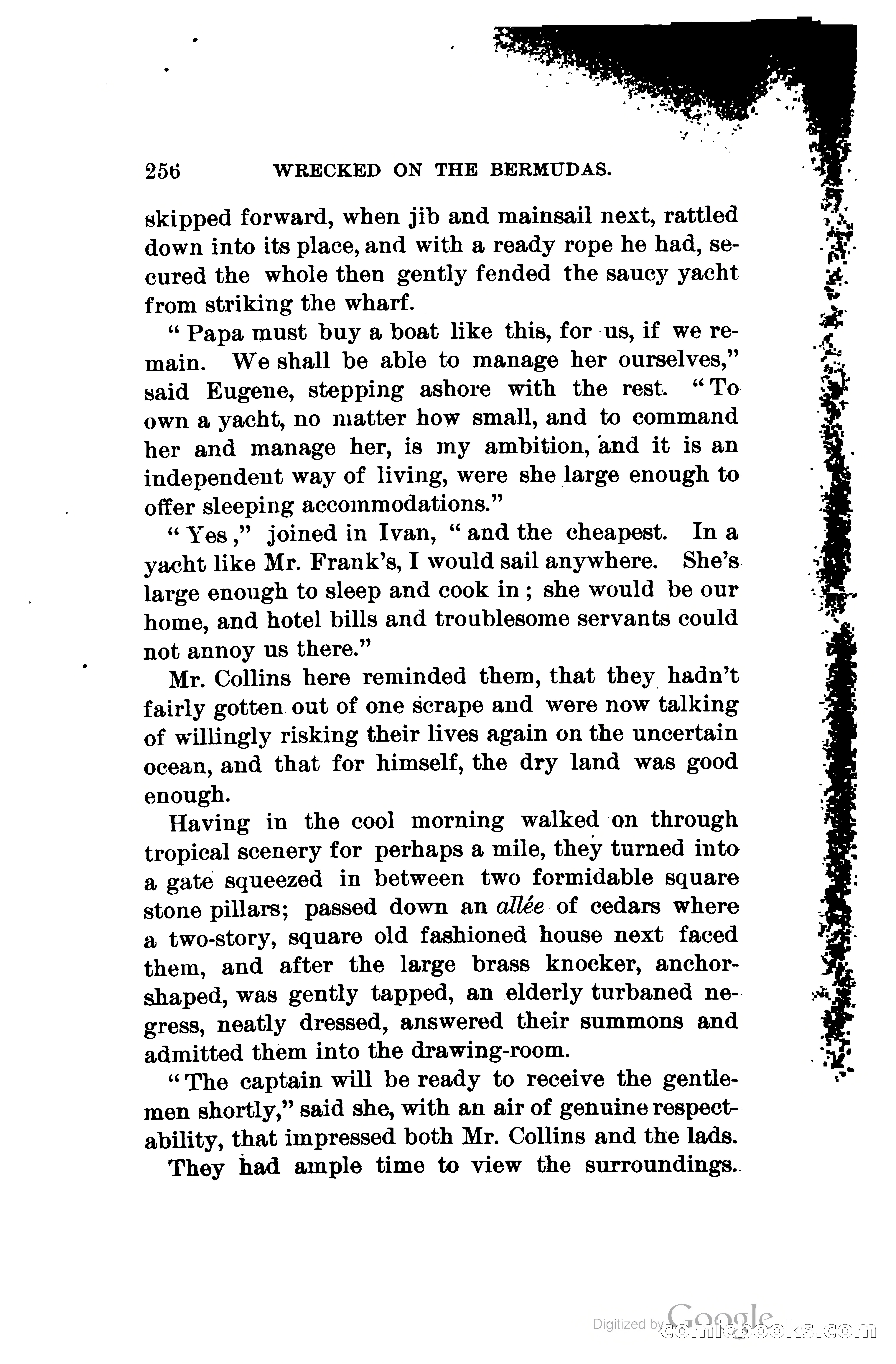 Wrecked On The Bermudas: The Thrilling Adventures Of Three Boys — page 299 of 344