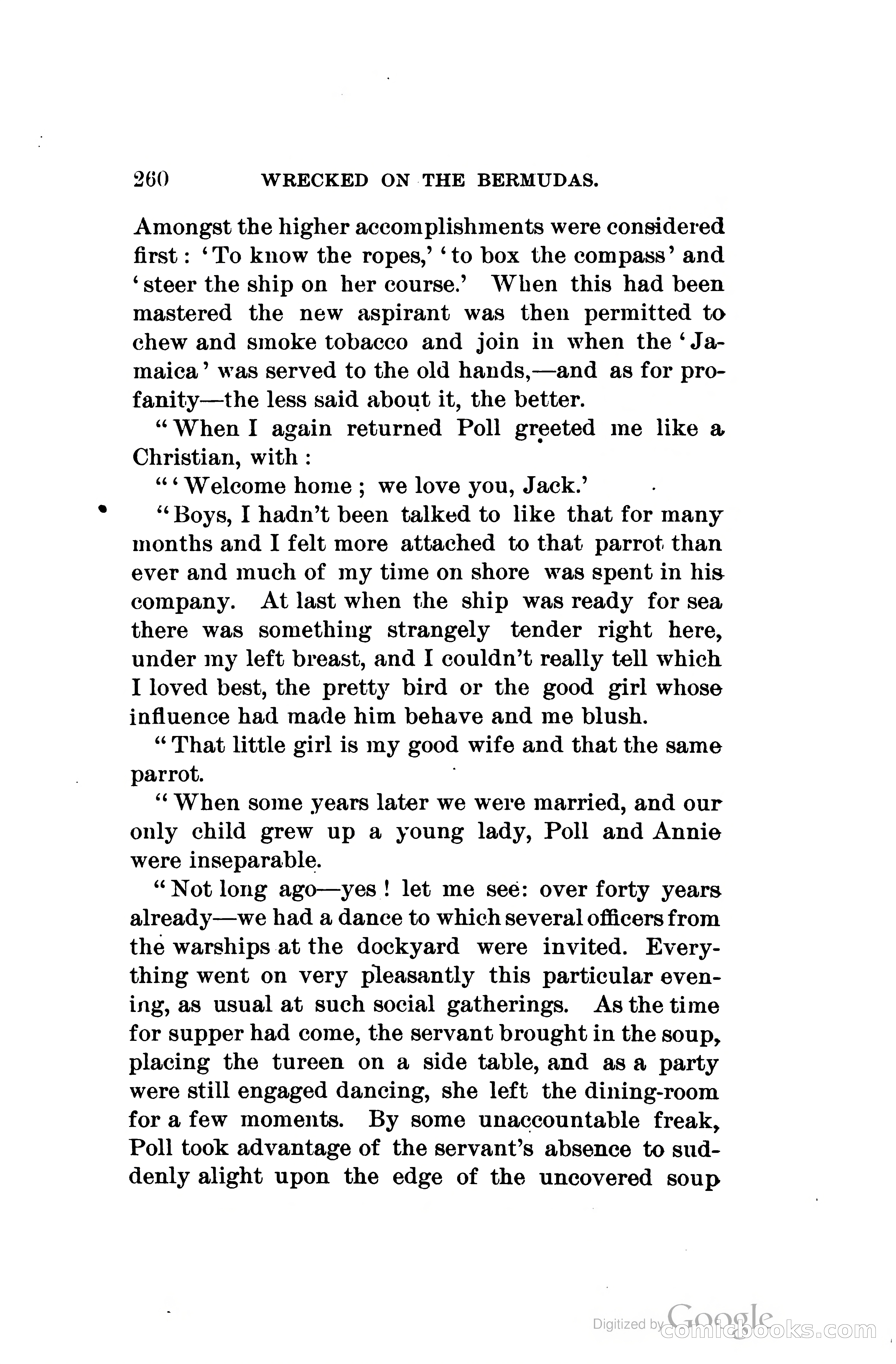 Wrecked On The Bermudas: The Thrilling Adventures Of Three Boys — page 303 of 344