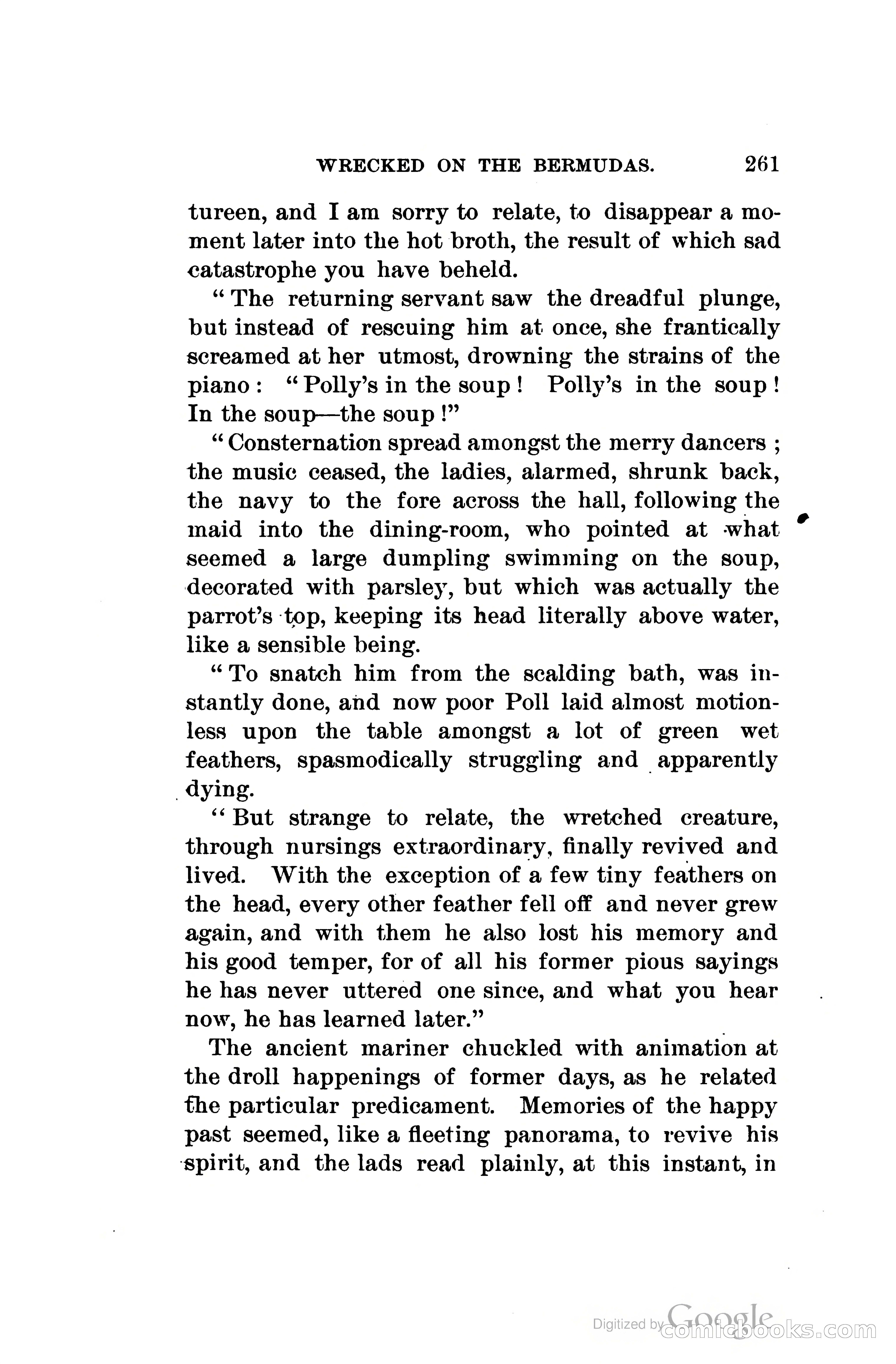 Wrecked On The Bermudas: The Thrilling Adventures Of Three Boys — page 304 of 344