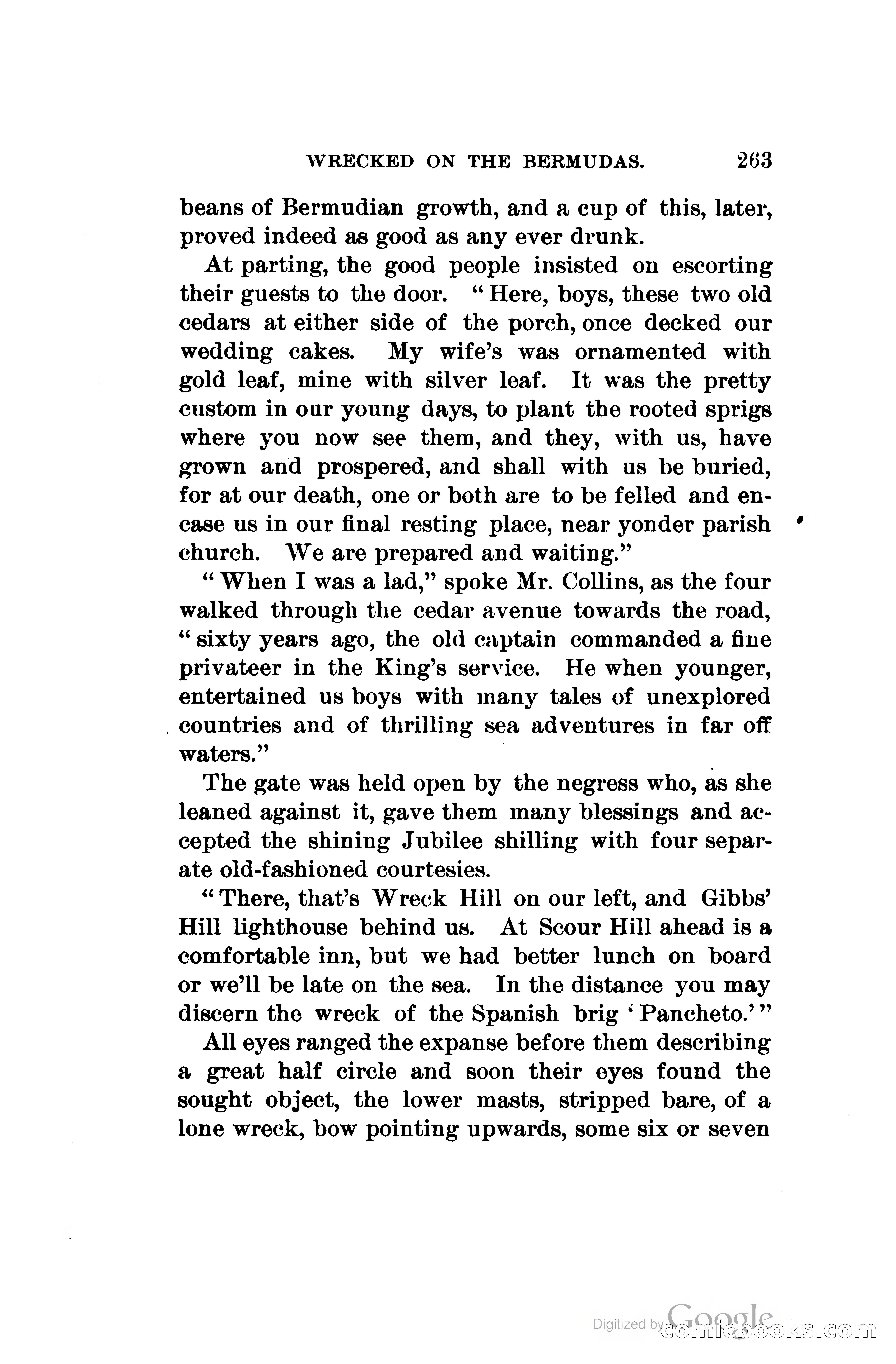Wrecked On The Bermudas: The Thrilling Adventures Of Three Boys — page 306 of 344