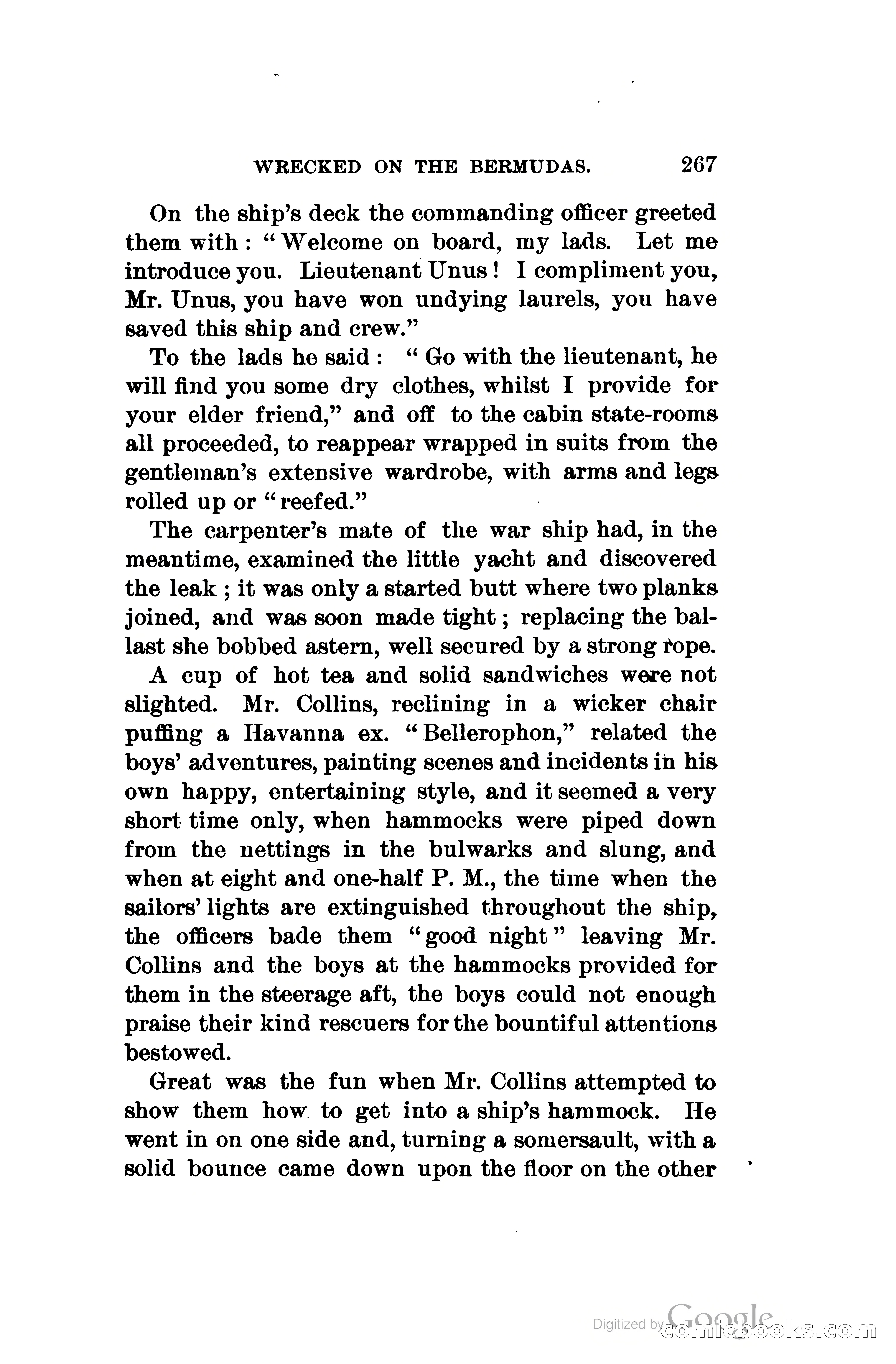 Wrecked On The Bermudas: The Thrilling Adventures Of Three Boys — page 310 of 344