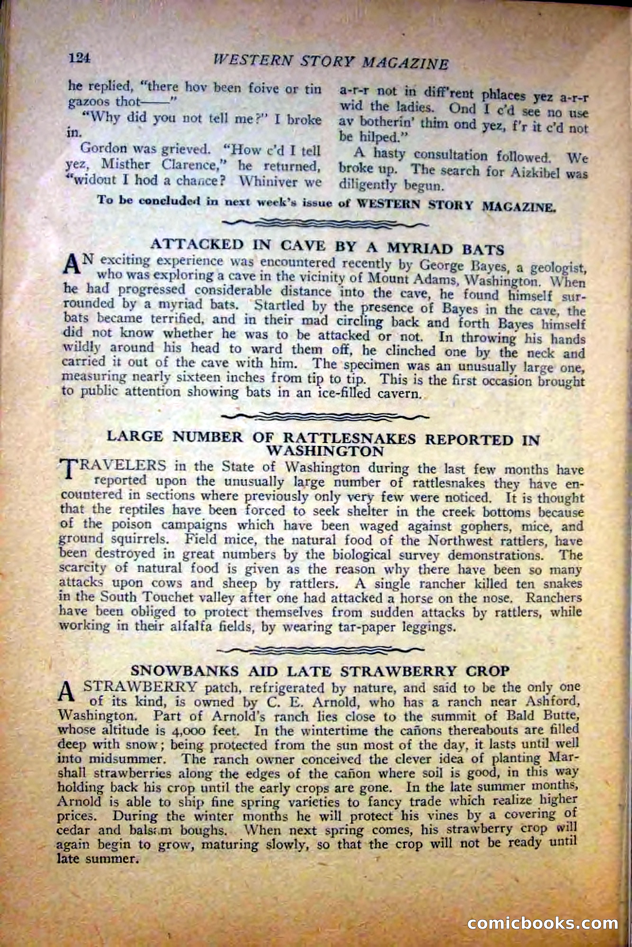Western Story Magazine — page 126 of 148