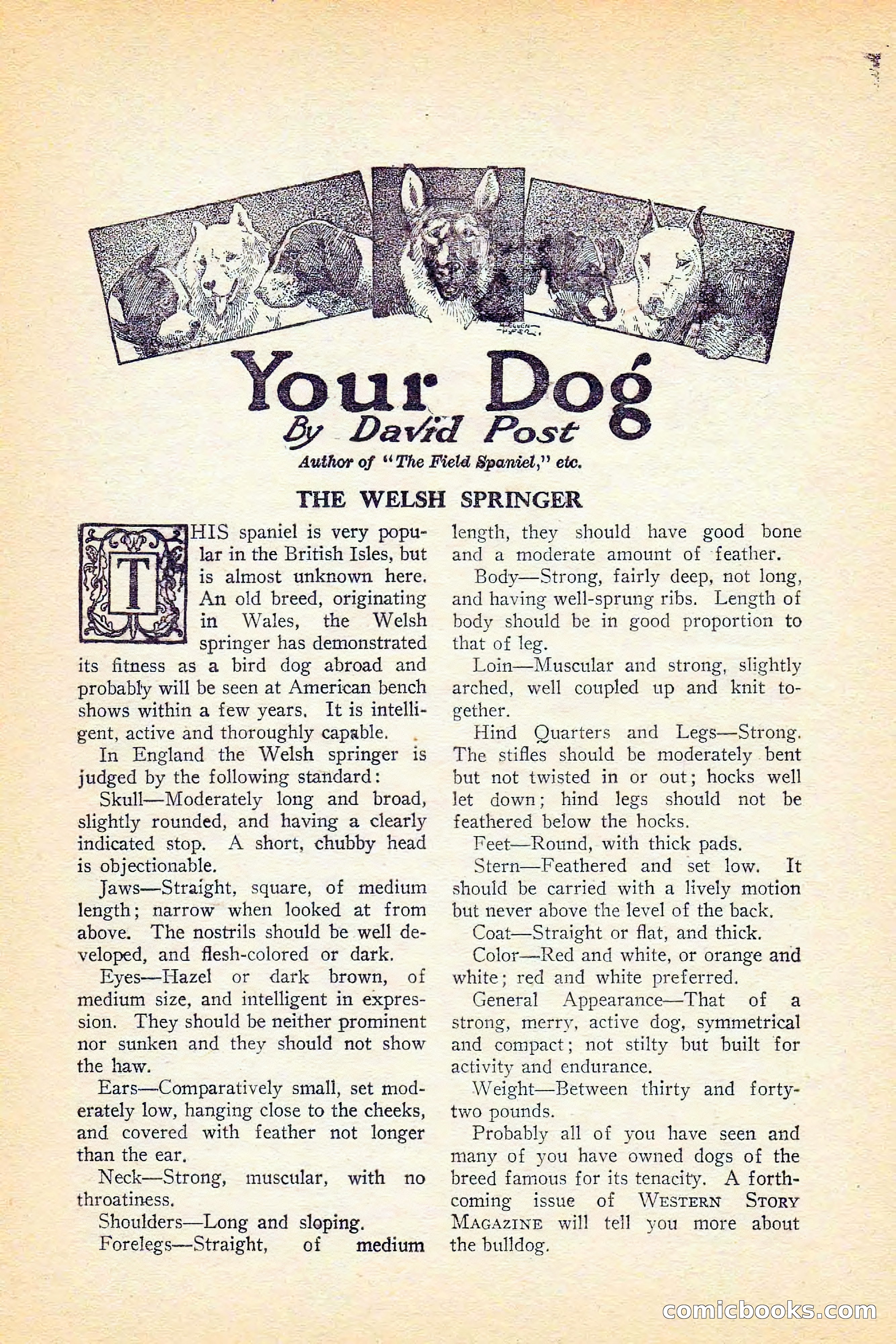 Western Story Magazine, June 5, 1926 — page 118 of 172