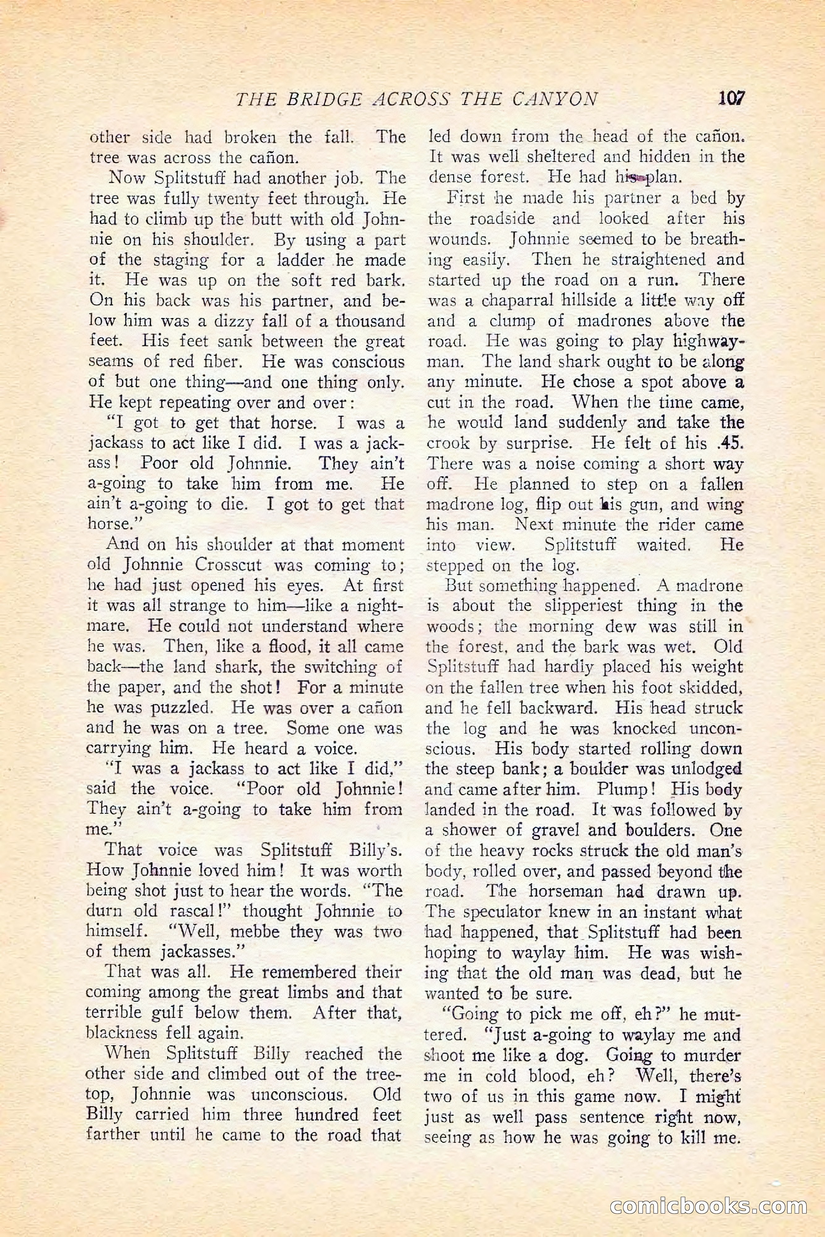 Western Story Magazine, June 5, 1926 — page 125 of 172