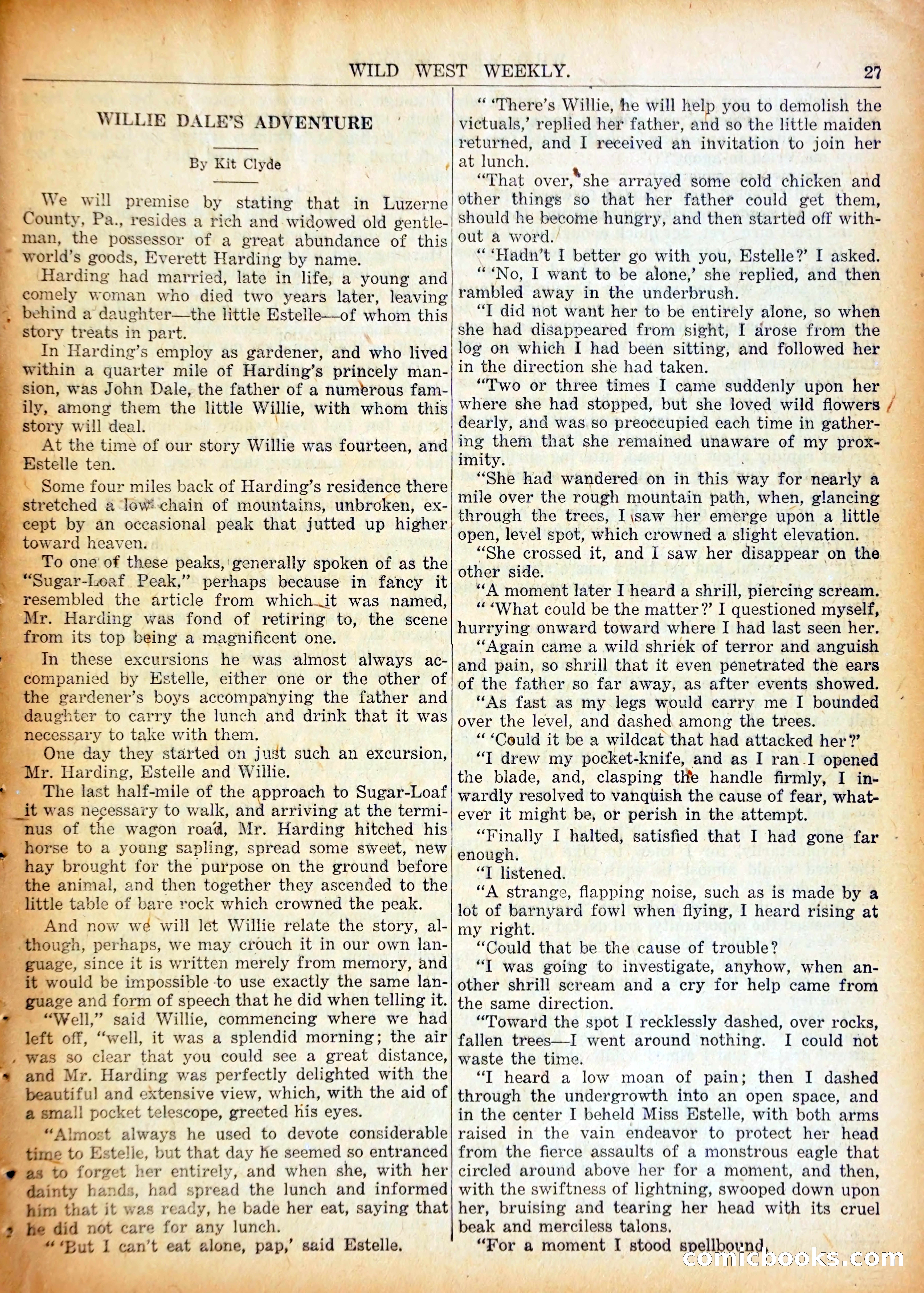 Young Wild West at Magic Mark — page 30 of 37