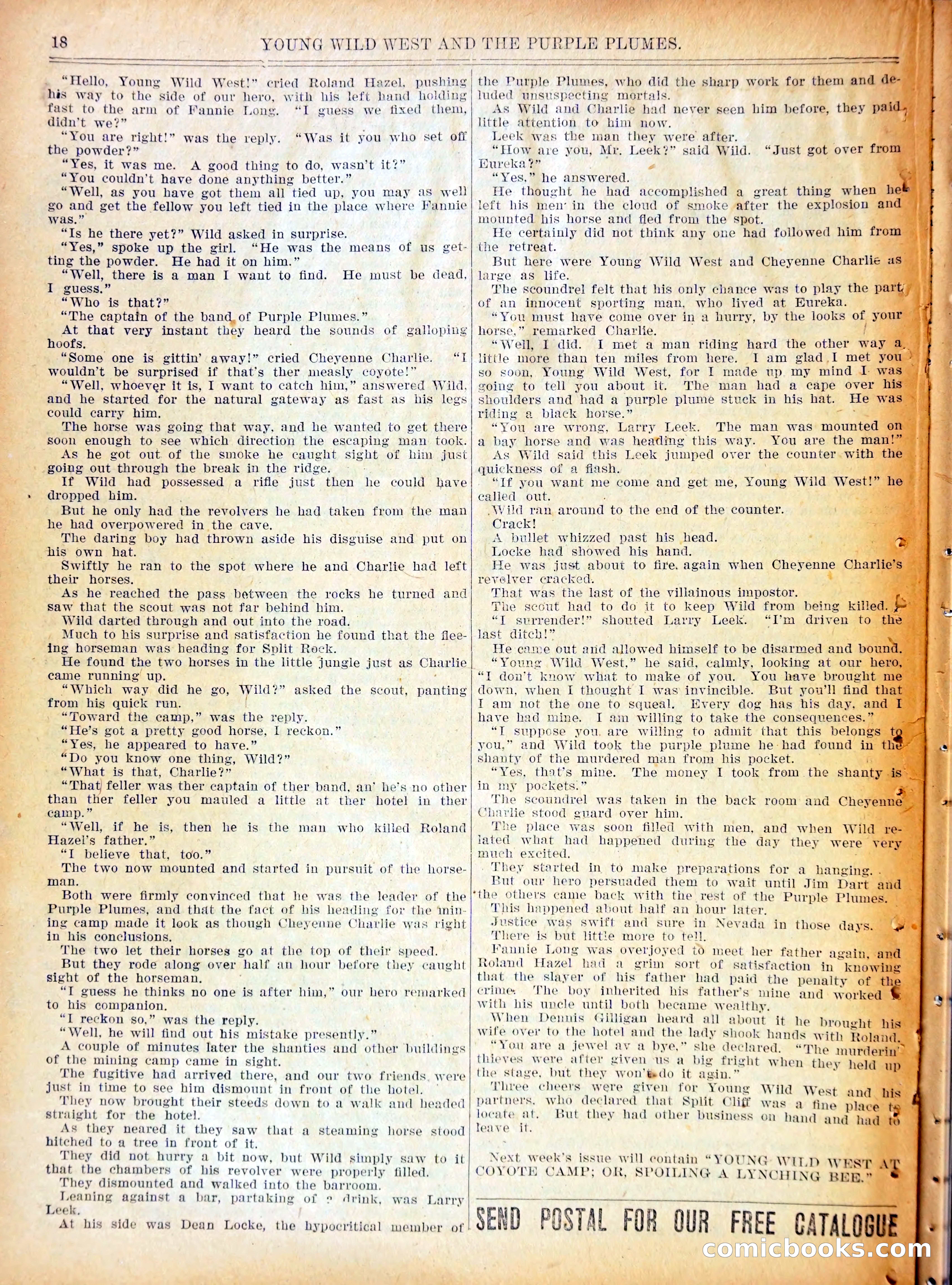 Young Wild West and the Purple Plumes — page 21 of 37