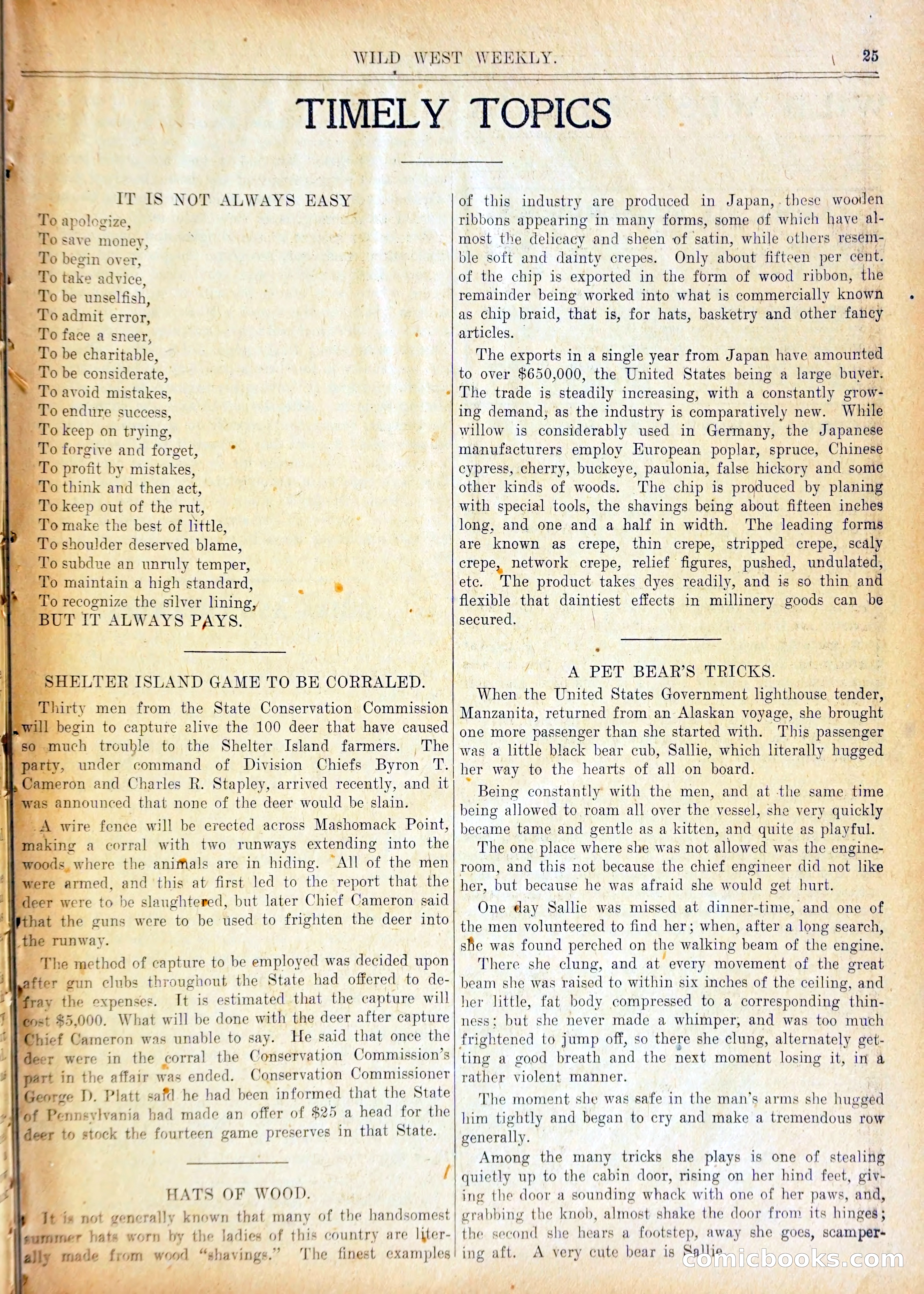 Young Wild West and the Purple Plumes — page 28 of 37
