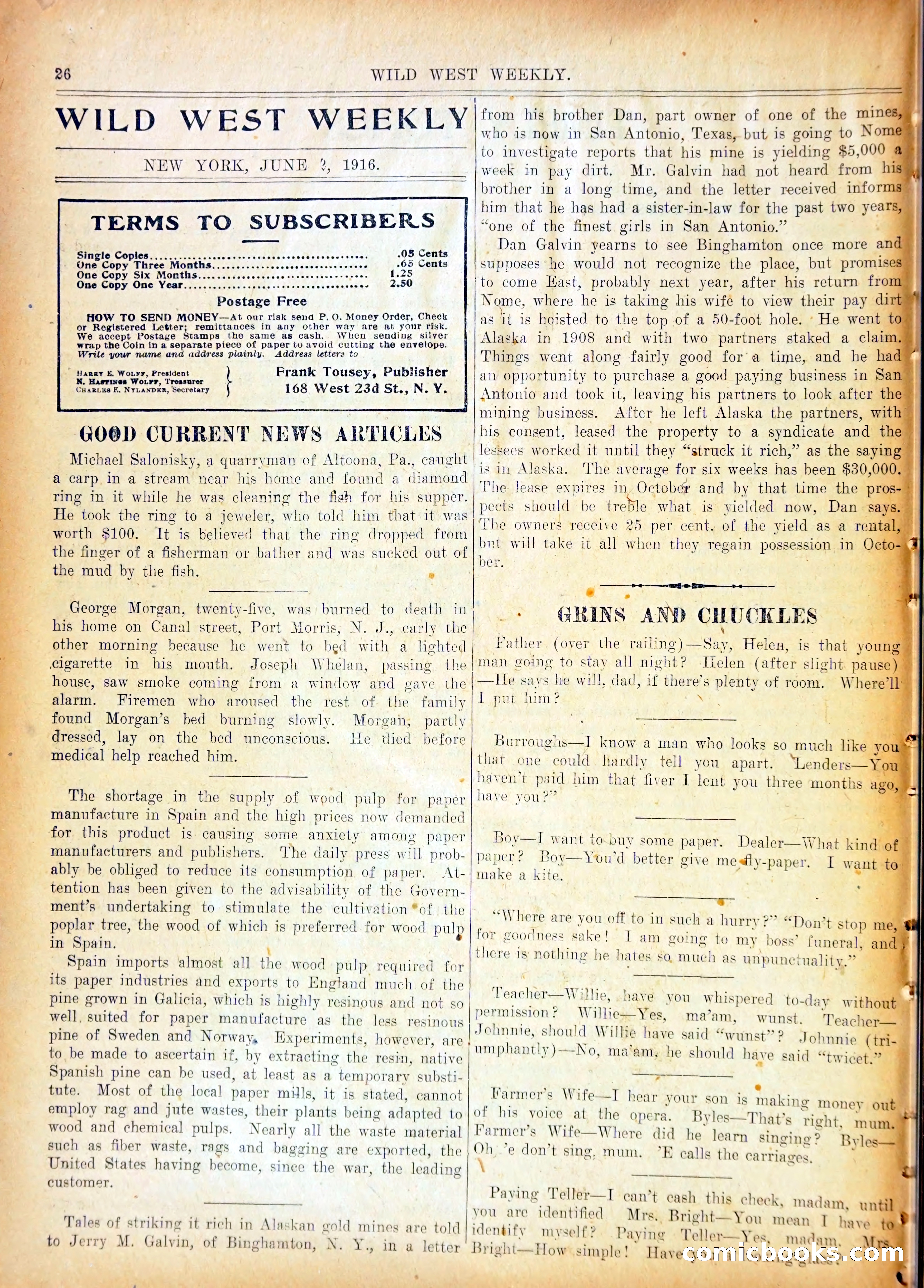 Young Wild West and the Purple Plumes — page 29 of 37
