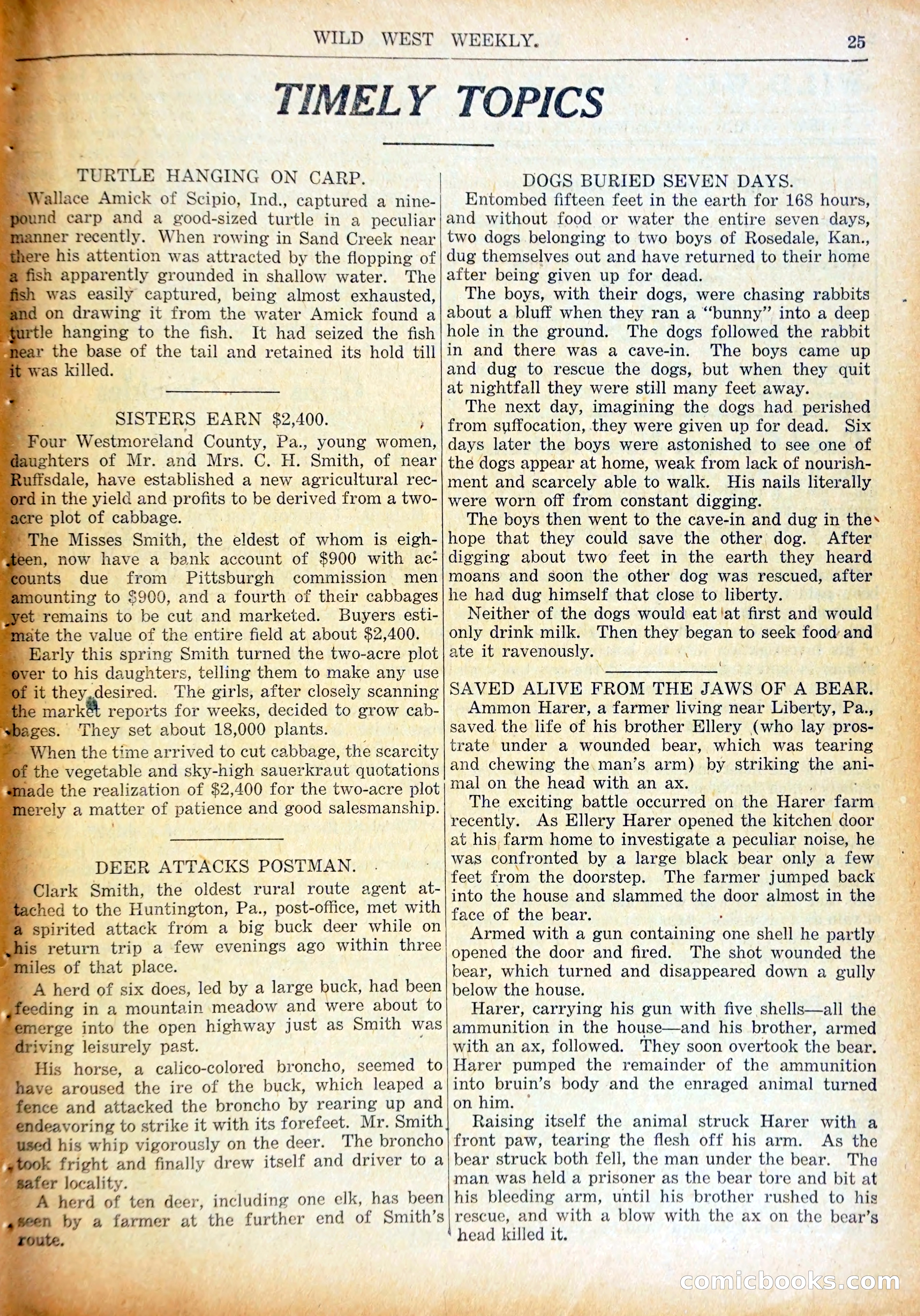 Young Wild West Weekly No. 740 — page 28 of 37