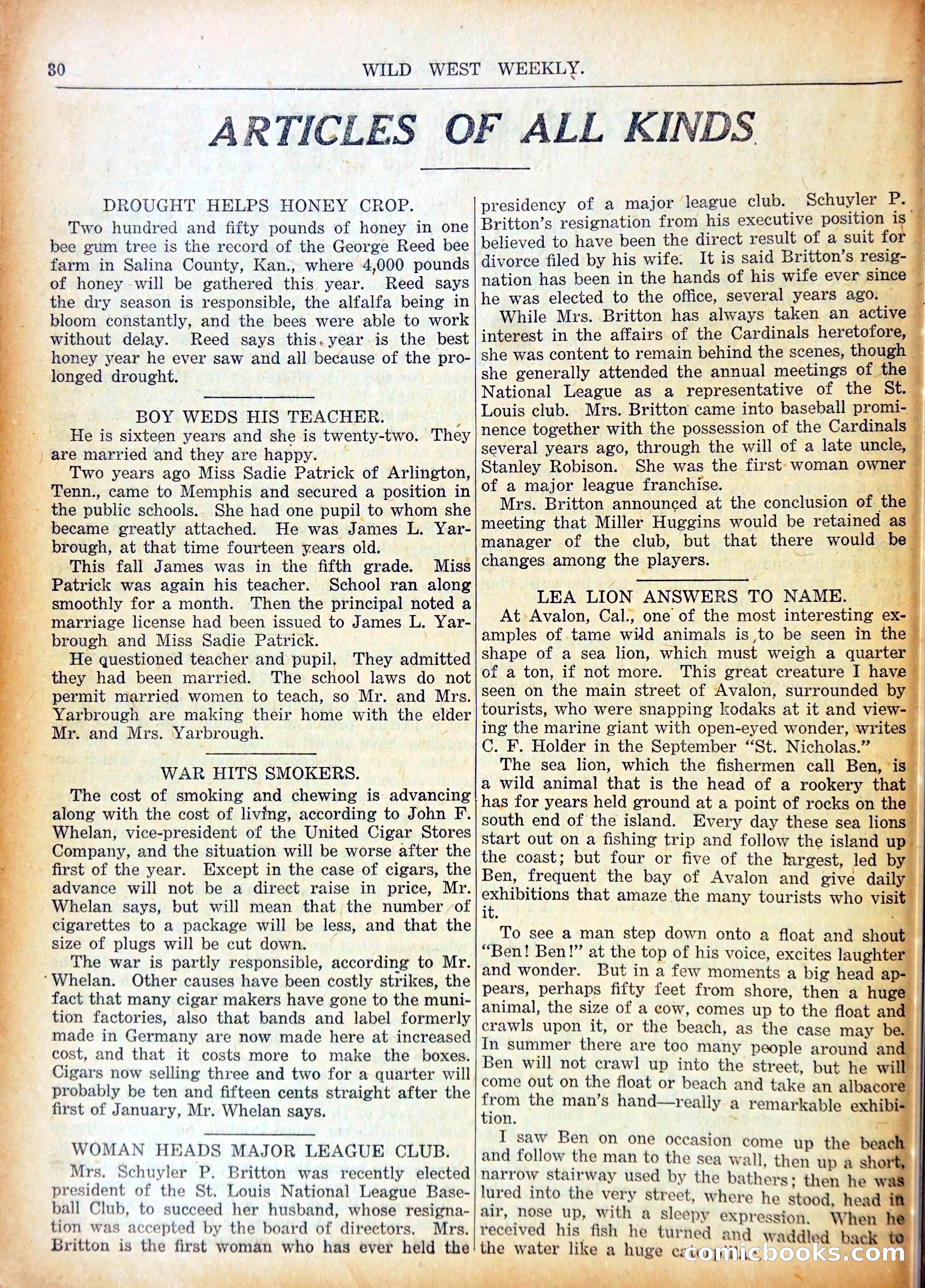 Young Wild West Weekly No. 740 — page 33 of 37