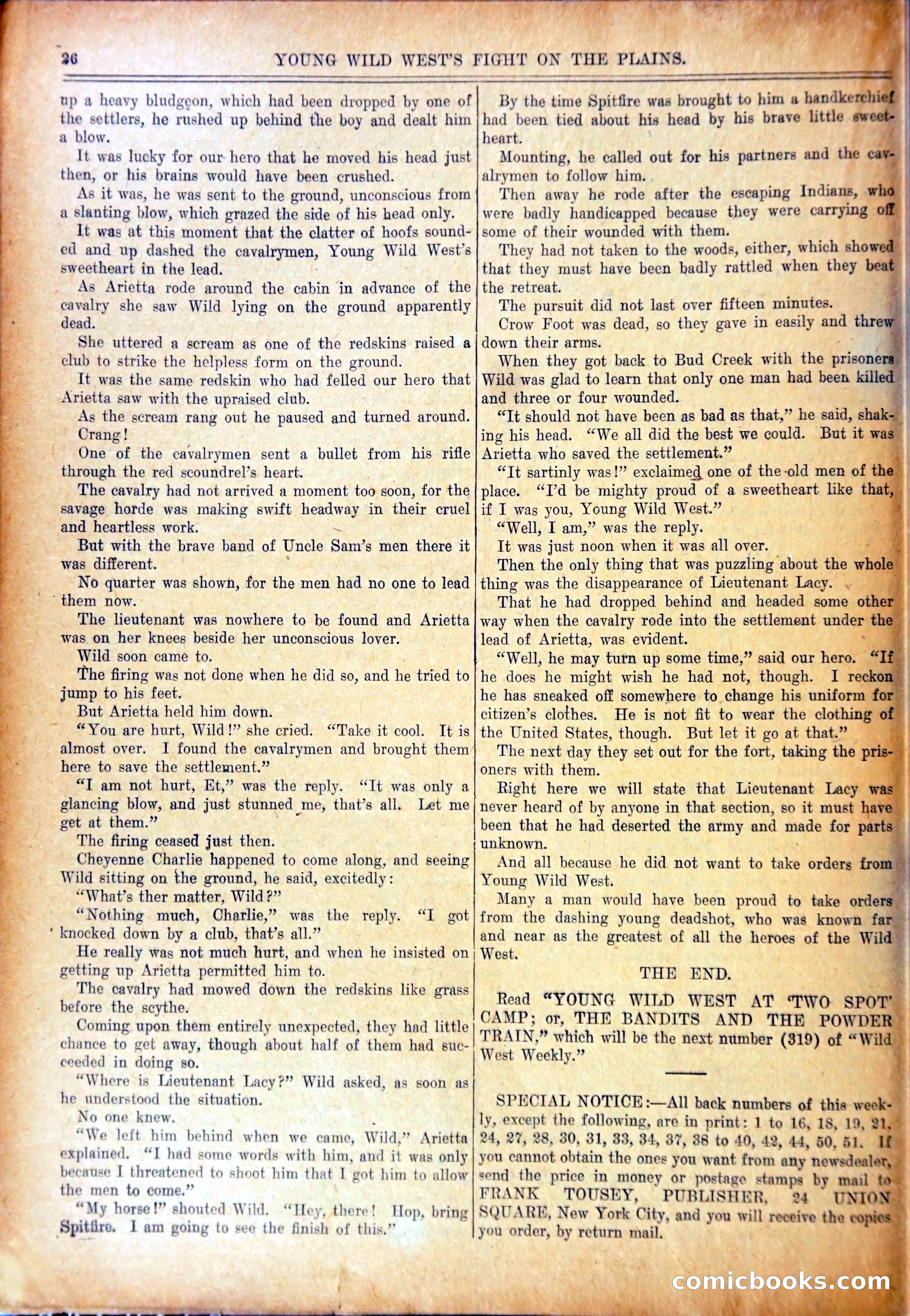 Wild West Weekly, No. 318 — page 29 of 37