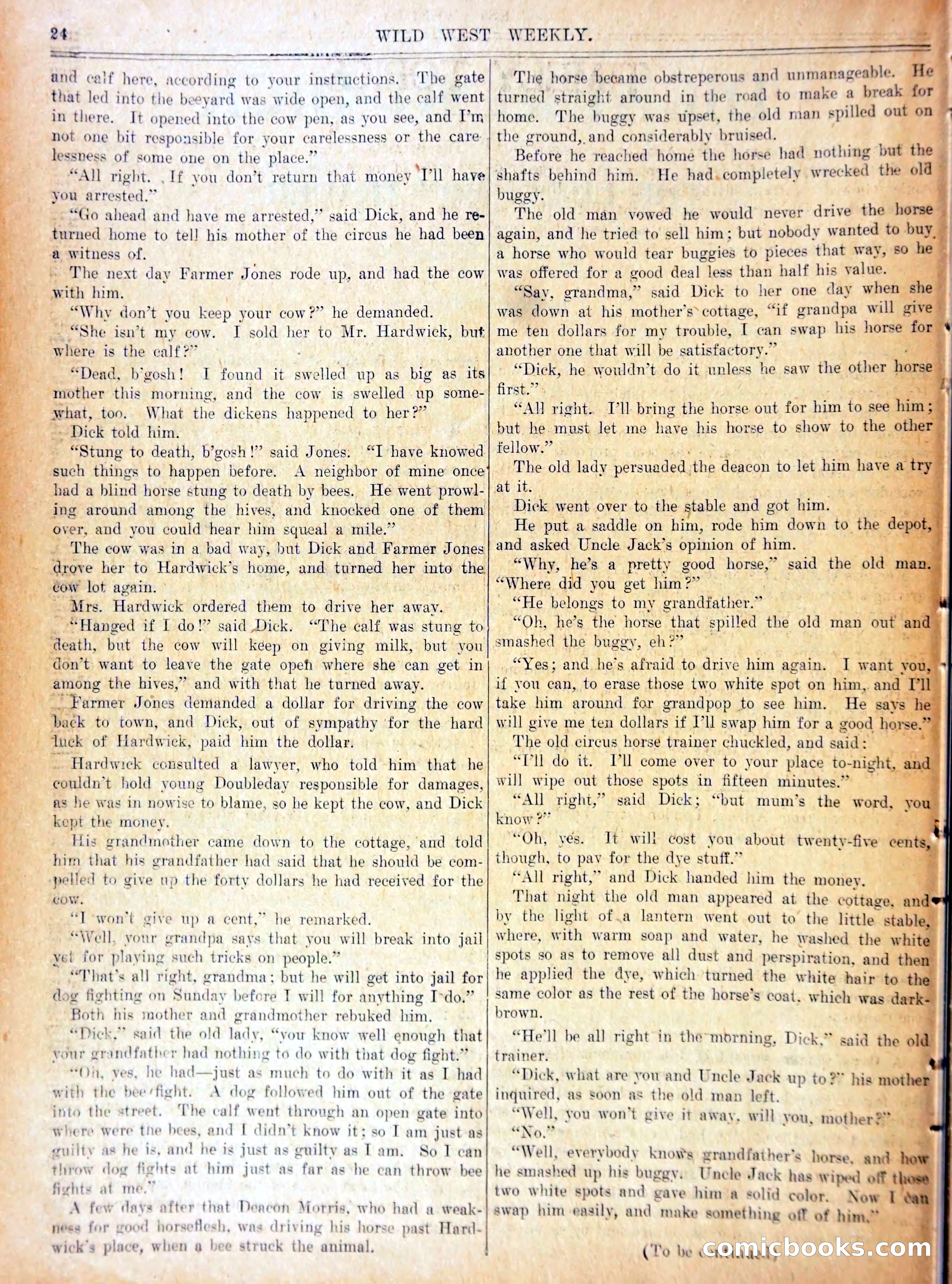 Wild West Weekly No. 641 — page 27 of 37