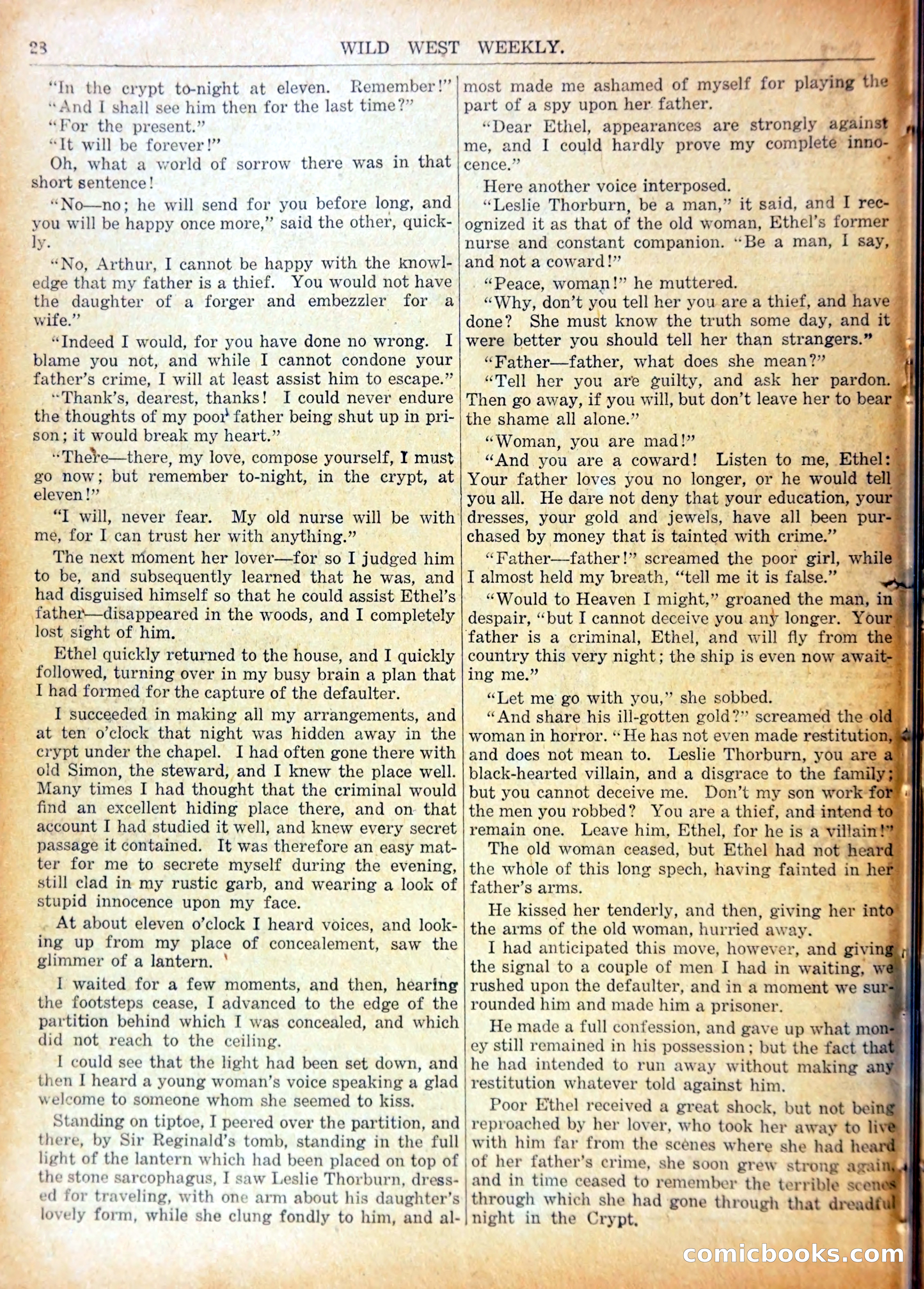 Young Wild West's Leap in the Dark — page 31 of 37