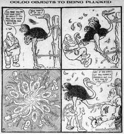 Oolo Objects to Being Plucked