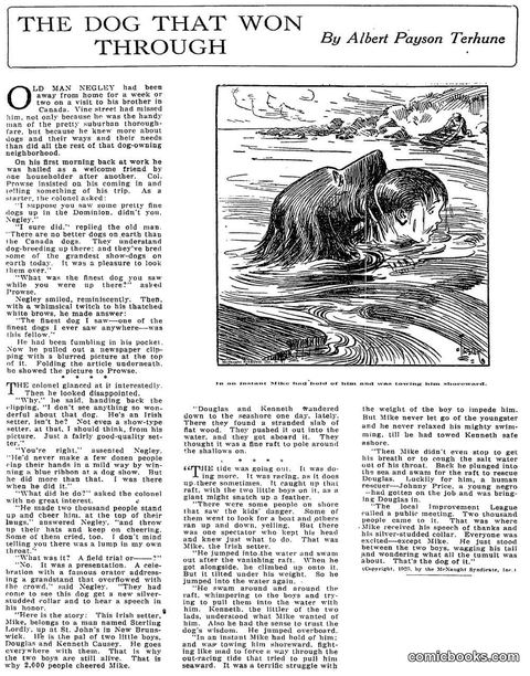 The Dog That Won Through