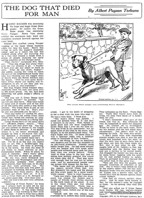 The Dog That Died for Man
