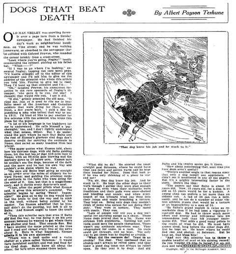 Dogs That Beat Death