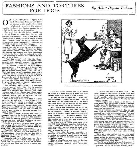 Fashions and Tortures for Dogs