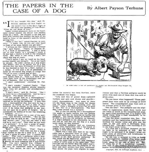 The Papers in the Case of a Dog