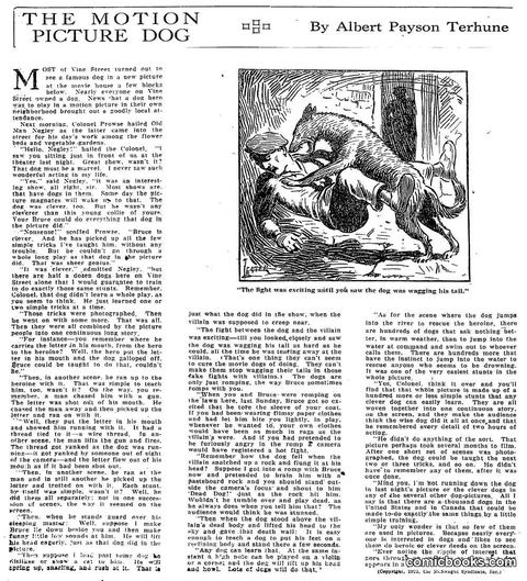 The Motion Picture Dog