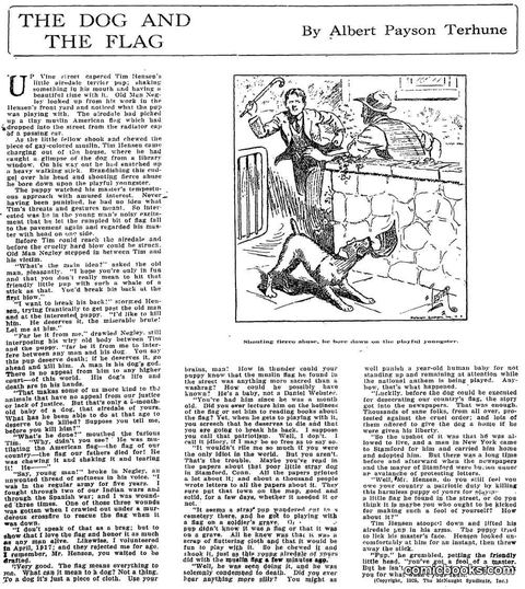 The Dog and the Flag