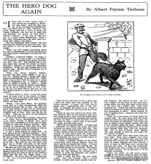 The Hero Dog Again