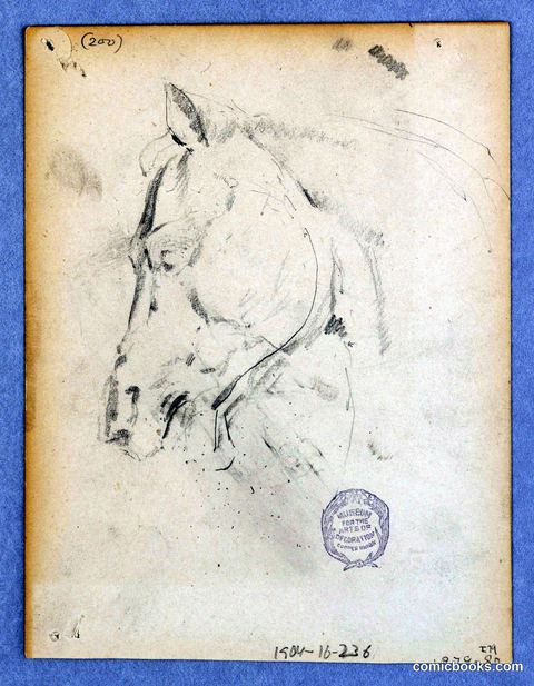 Horse Study