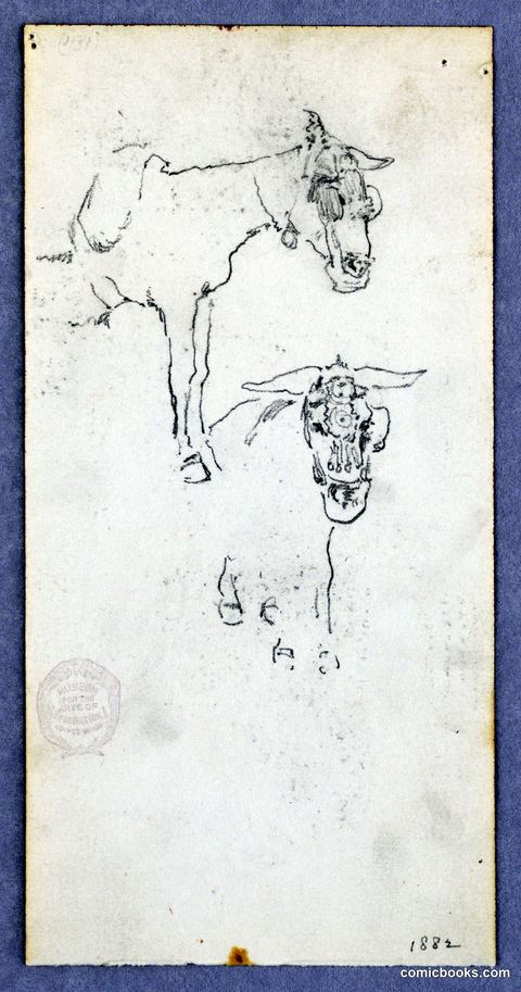 Donkey Studies