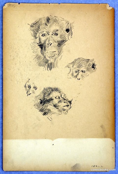 Study of Monkey Heads
