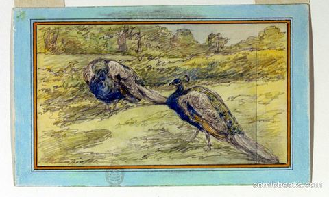 Two Peacocks in a Landscape