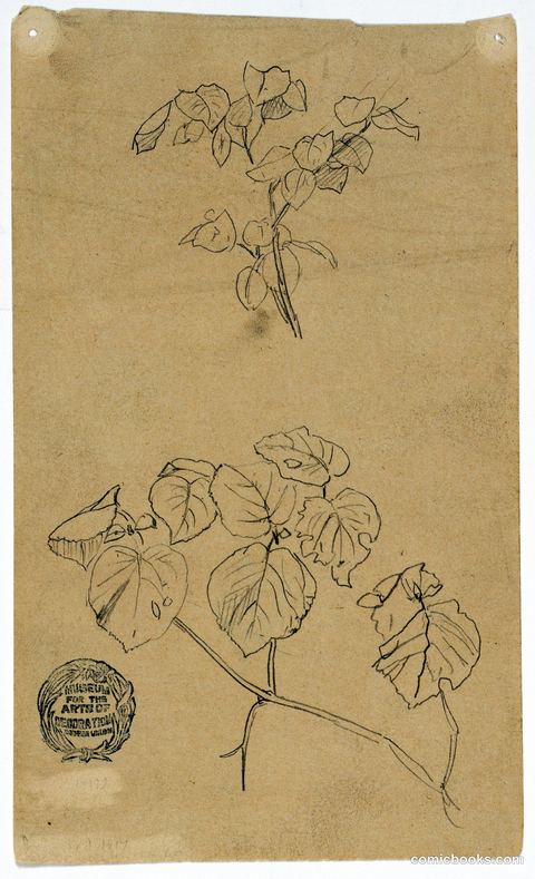 Sketches of Plants