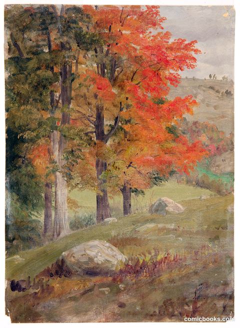 Woods in Autumn, Vermont
