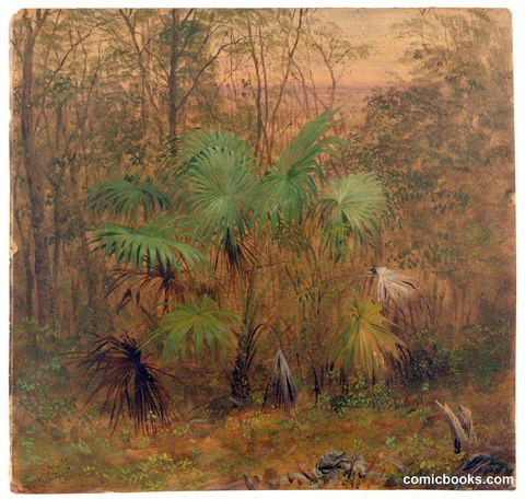 Thatch Palm, Jamaica