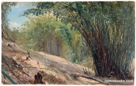 Bamboo Grove, Jamaica