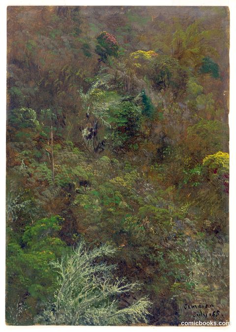 Hillside with Trees, Jamaica