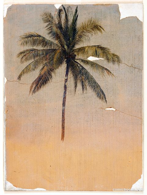 Coconut Palm