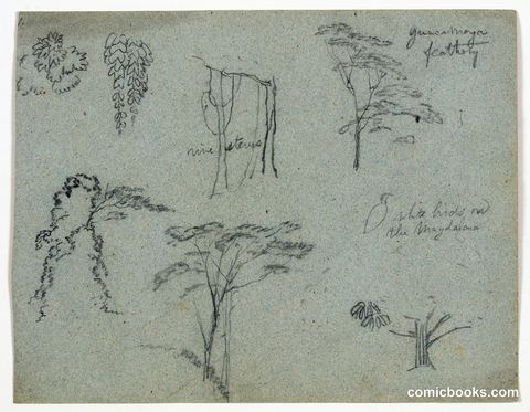 Sketches from the Río Magdalena, Colombia