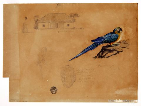 Sketches of Guacamaya, Bogotá, Colombia